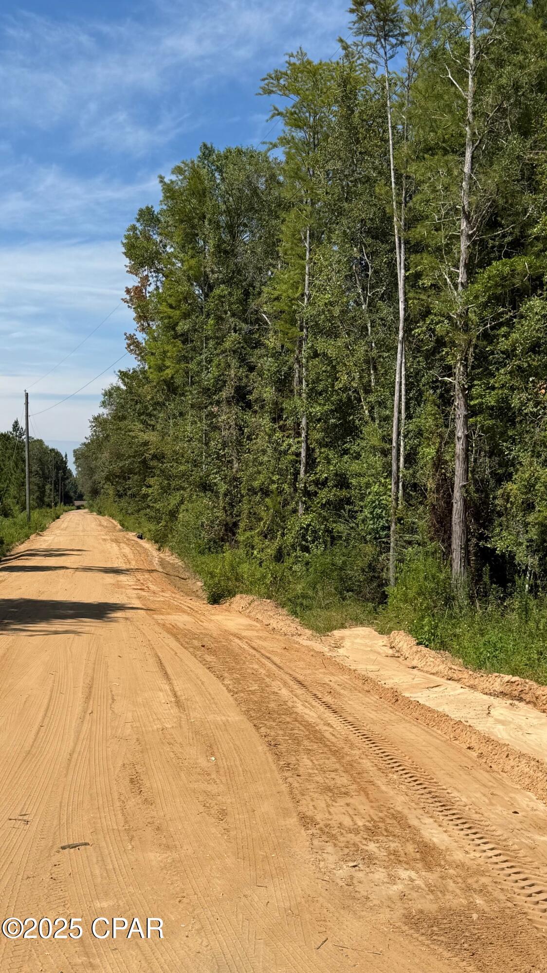 Details for 0 Douglas Ferry Road, Bonifay, FL 32425