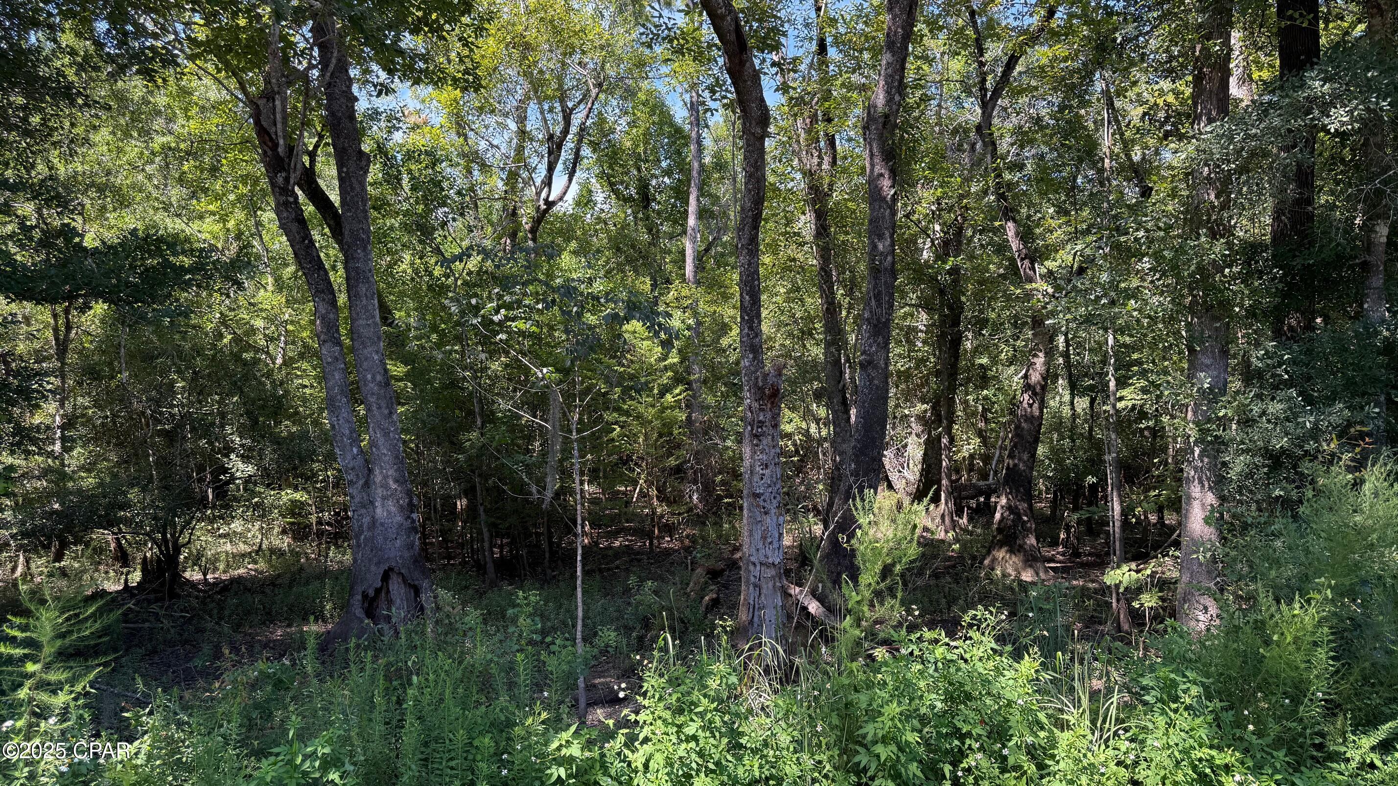 Image 2 For 0 Douglas Ferry Road