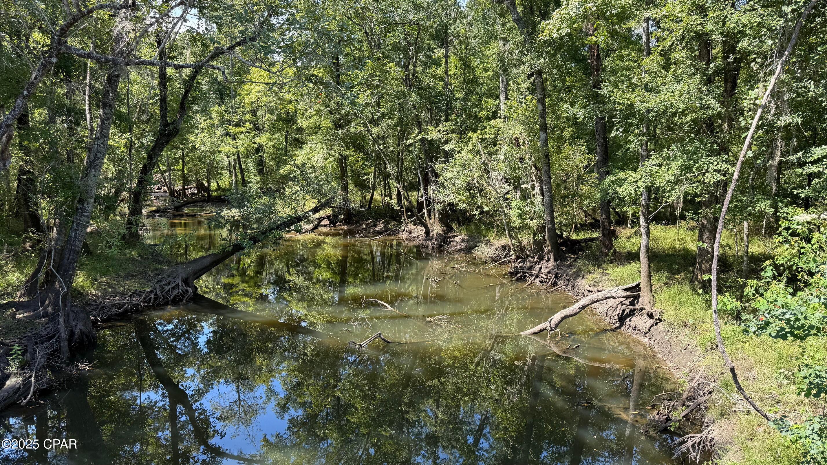 Image 4 For 0 Douglas Ferry Road