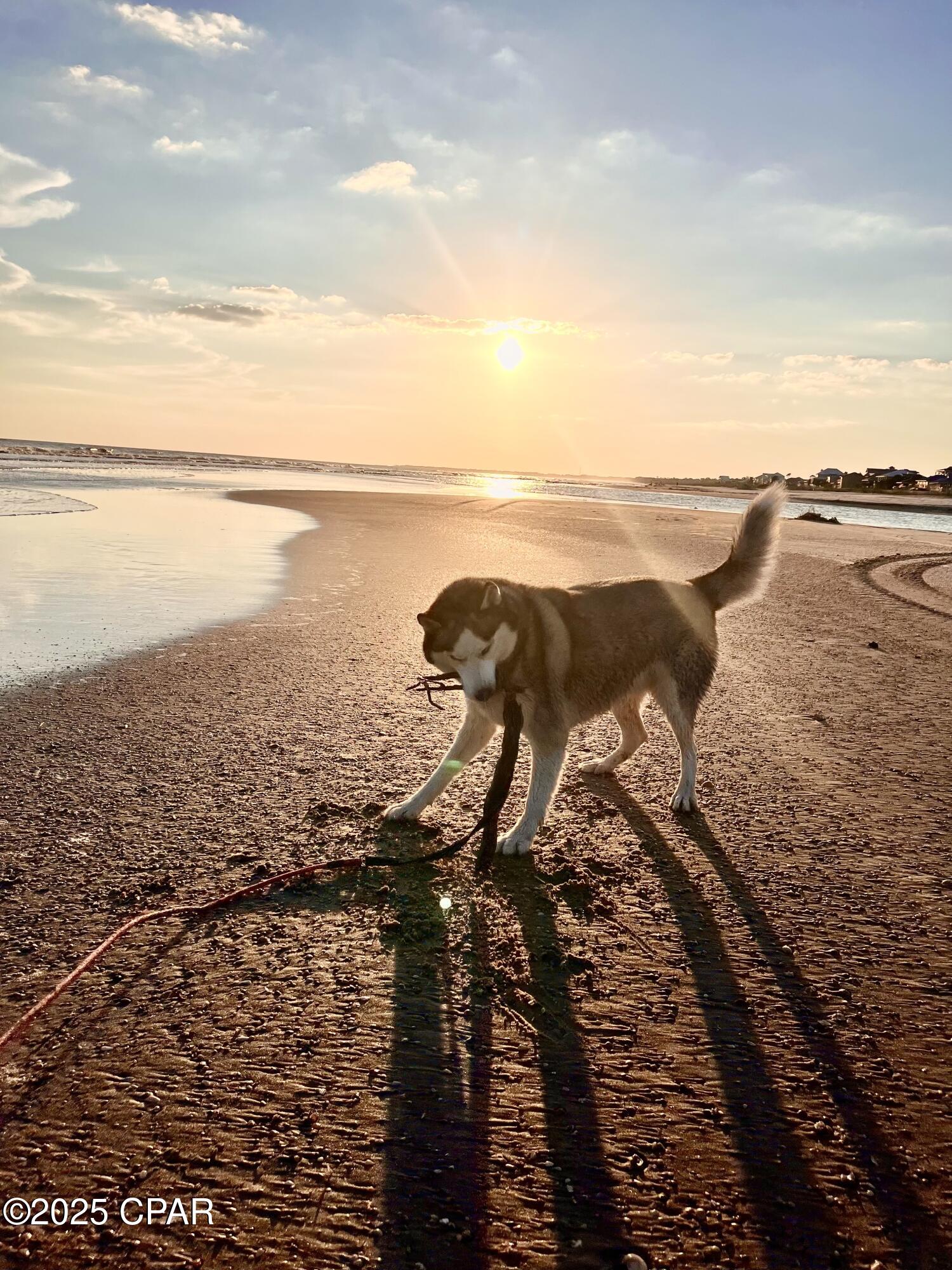 Image 26 For Lot 32 Las Palamas Lane