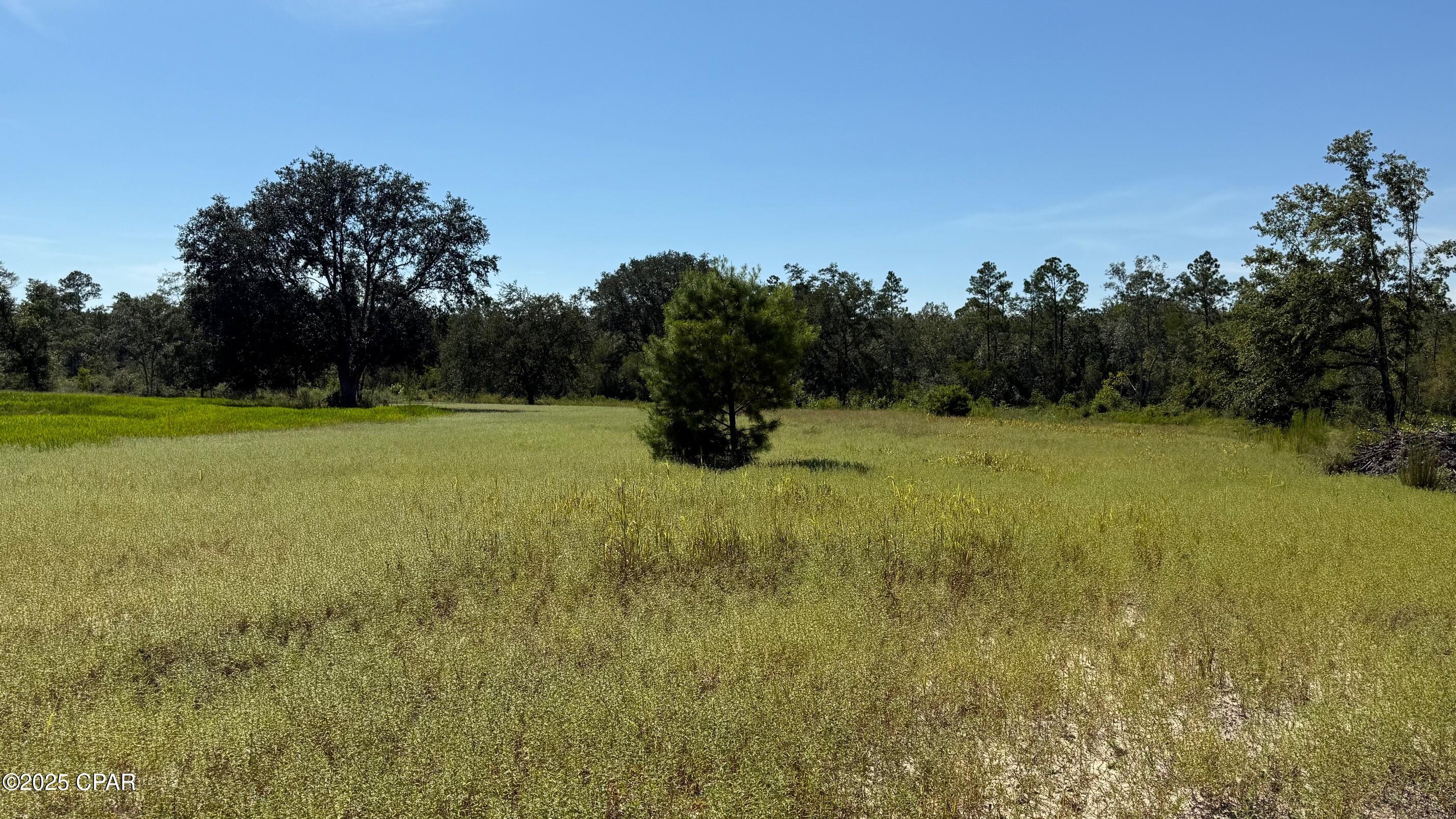 Details for 0 Jewel Road, Alford, FL 32420