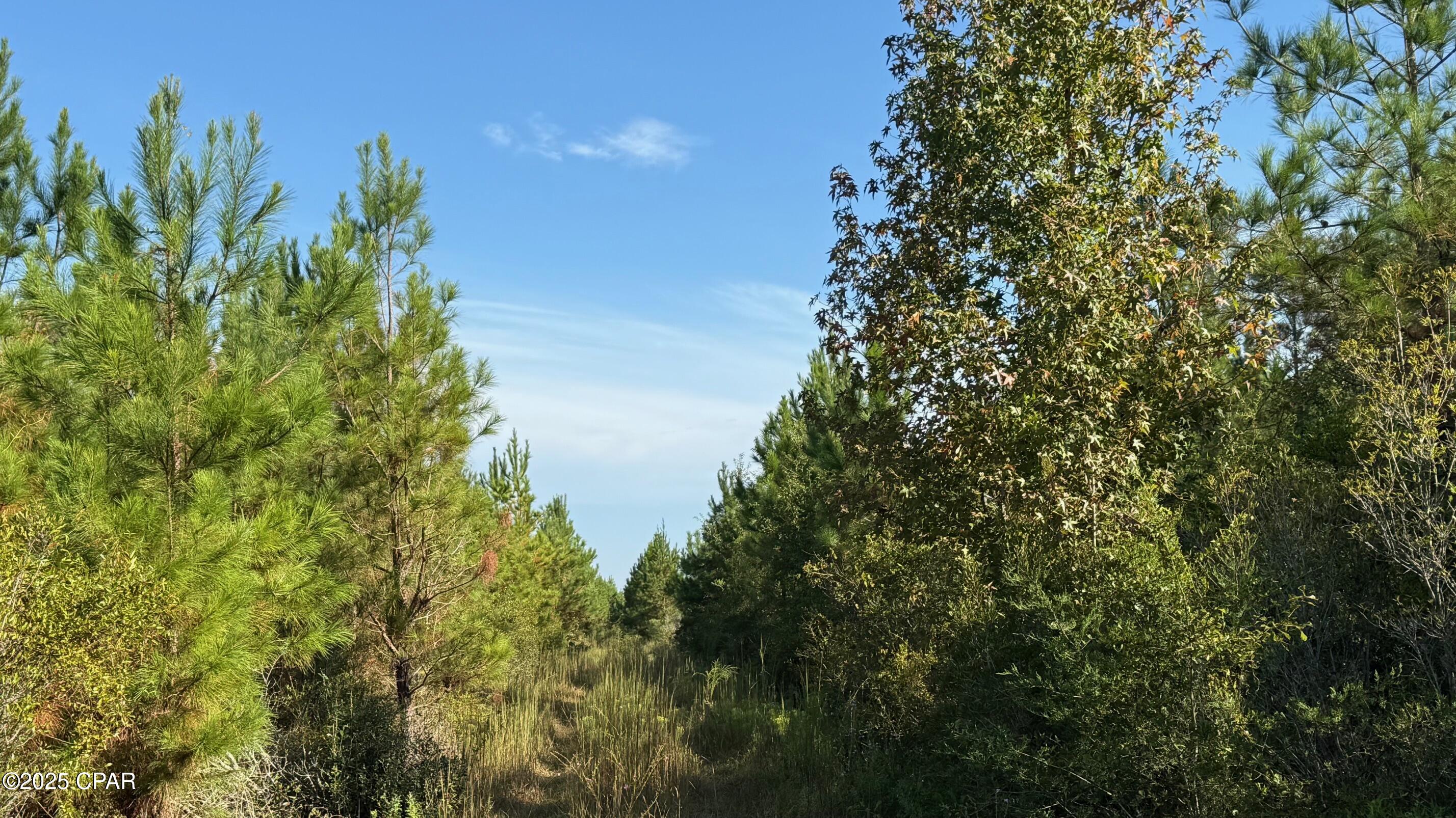Homes for sale in Graceville, FL | 0 Hwy 2, Graceville, FL 32440 | MLS# 779817