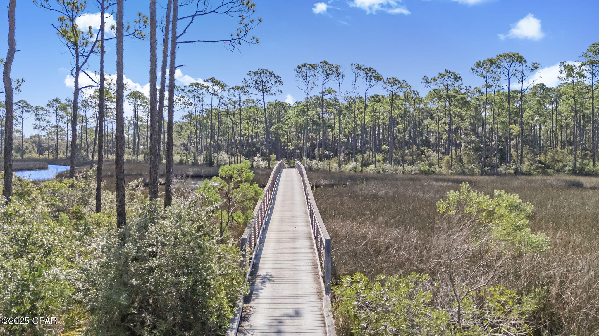 Image 10 For 6311 Turkey Cove Lane