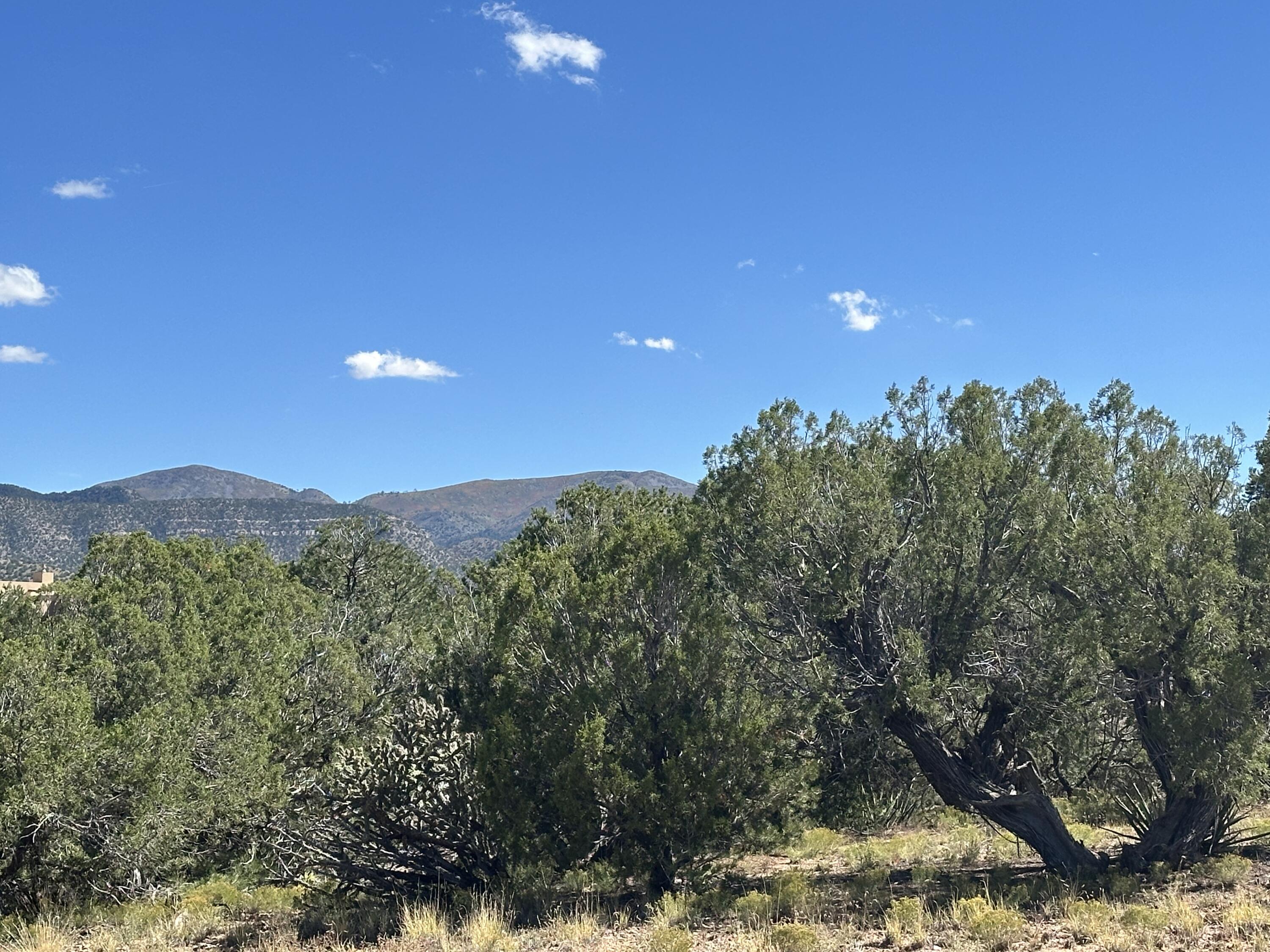 Homes for sale in Sandia Park, NM | 7 Old Rail Pass, Sandia Park, NM 87047 | MLS# 1092246