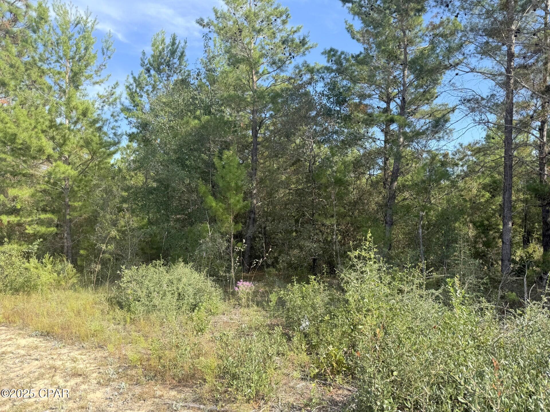 Image 4 For Xxx Shenandoah Boulevard Lot 3