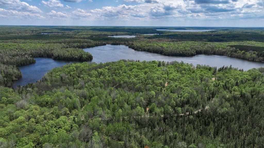 Murphy Lake Property 8638 Murphy Lake Rd Photo 34