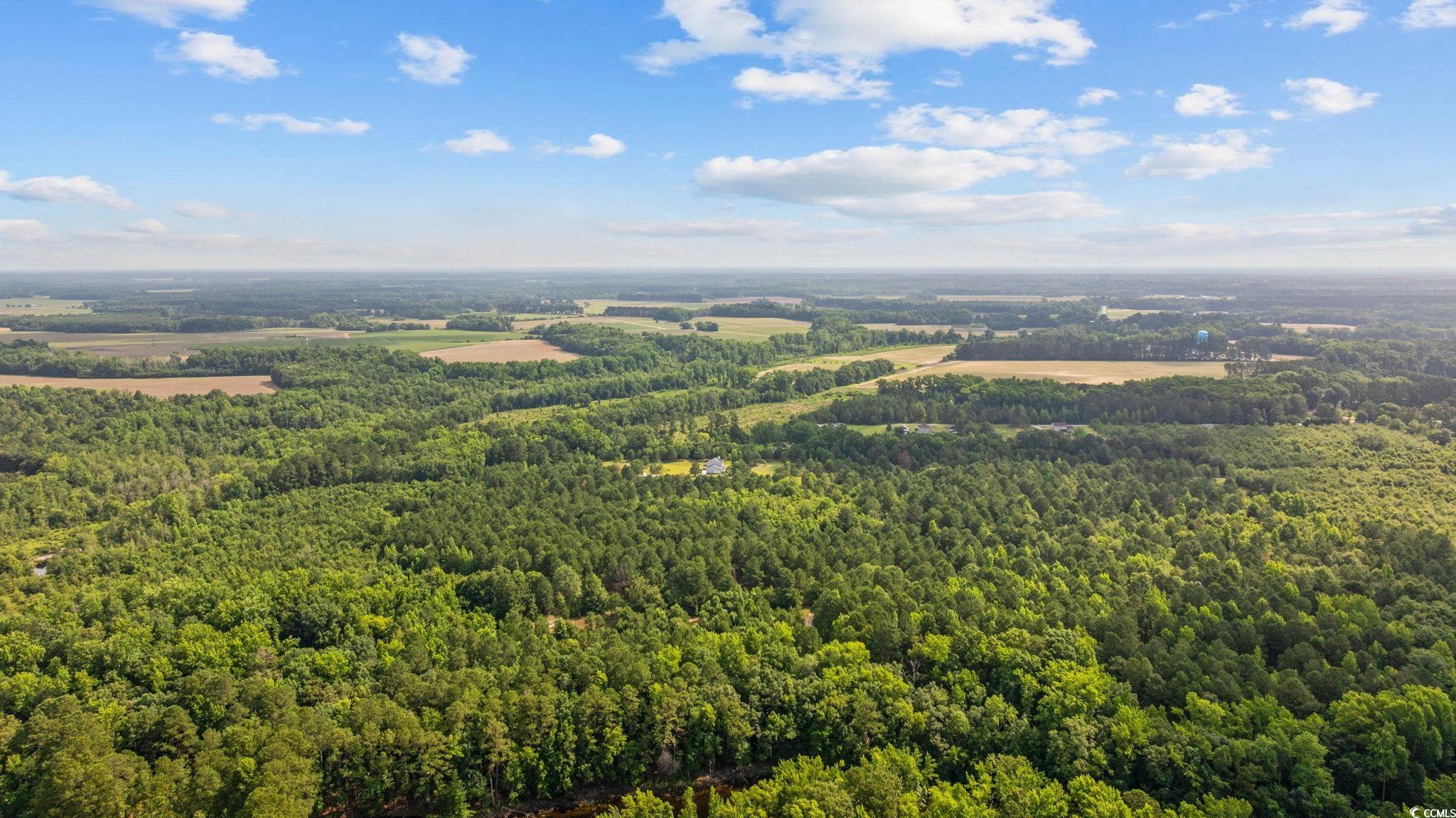 TBD Lee Ln. Bennettsville, SC 29512