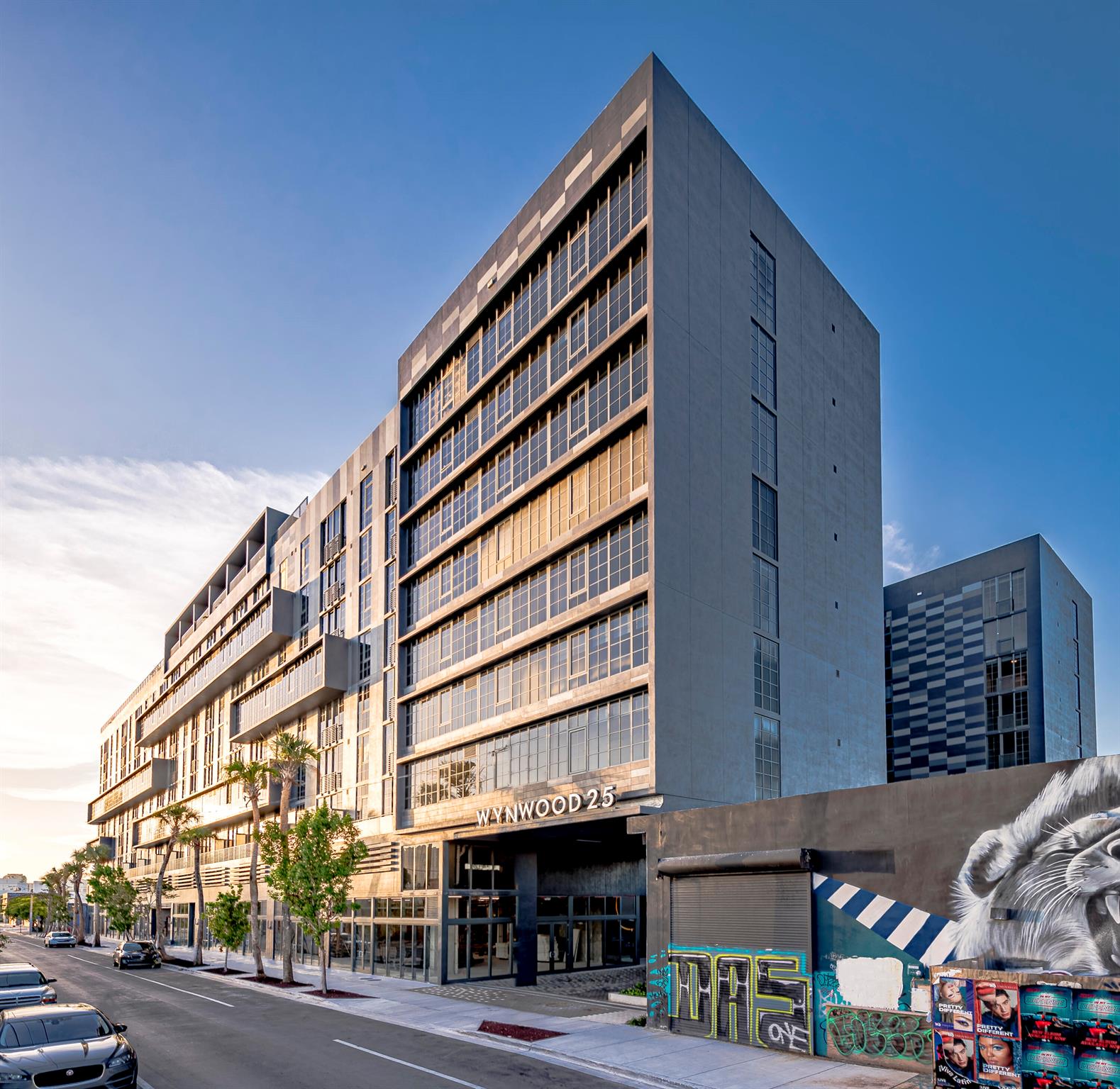 Wynwood 25