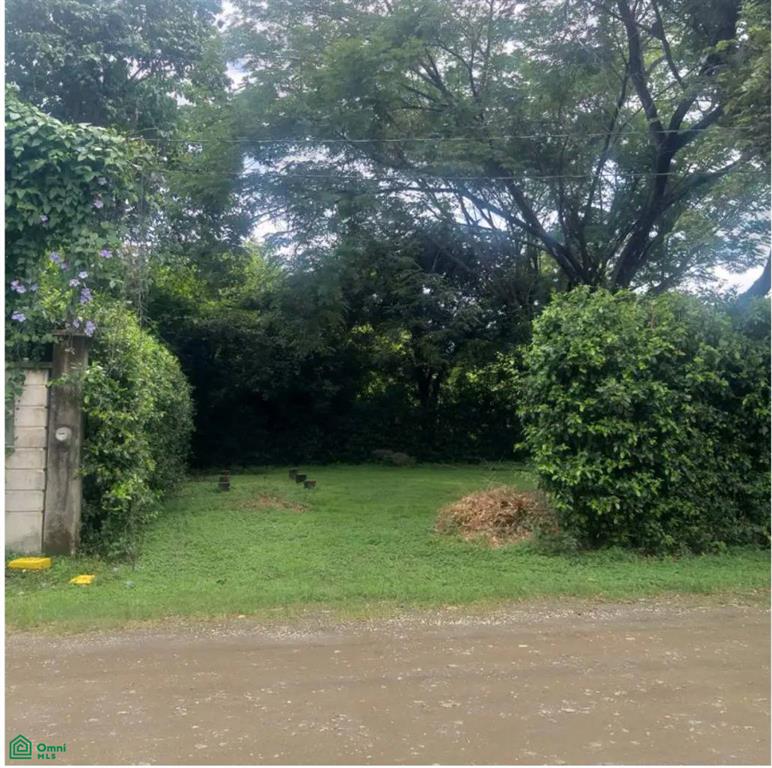 0 bed Land For Sale in Santa Cruz, Guanacaste - 1