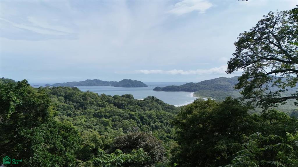 0 bed Land For Sale in Puntarenas, Puntarenas - 1
