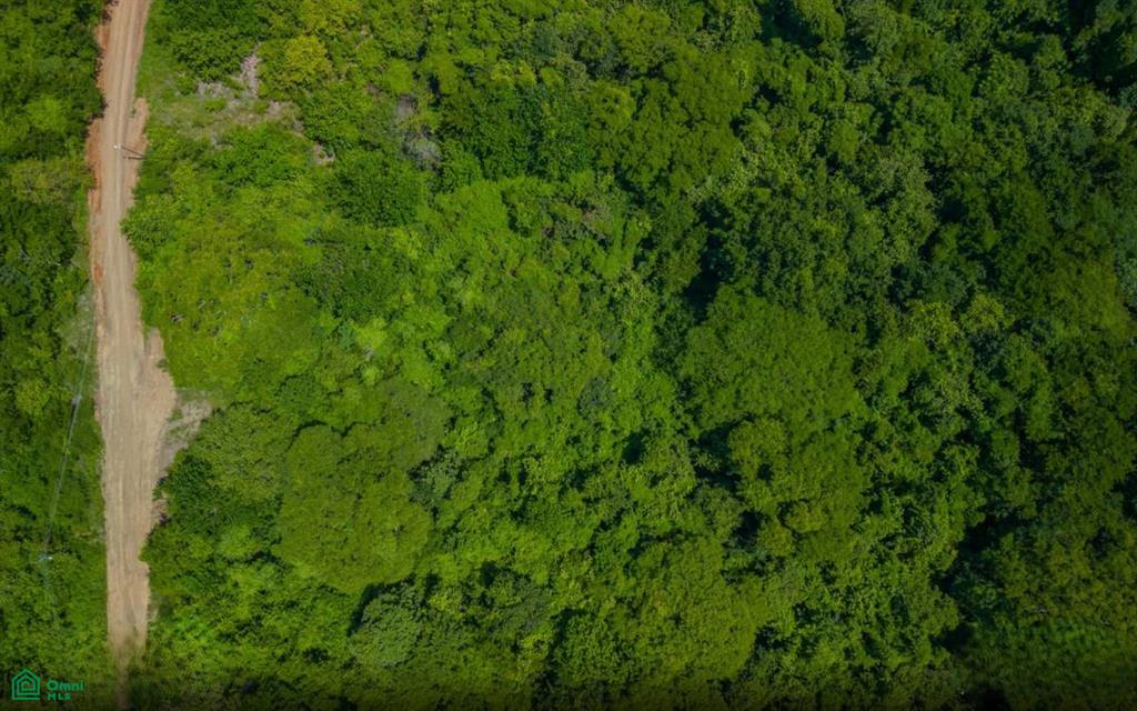 0 bed Land For Sale in Santa Cruz, Guanacaste - 1