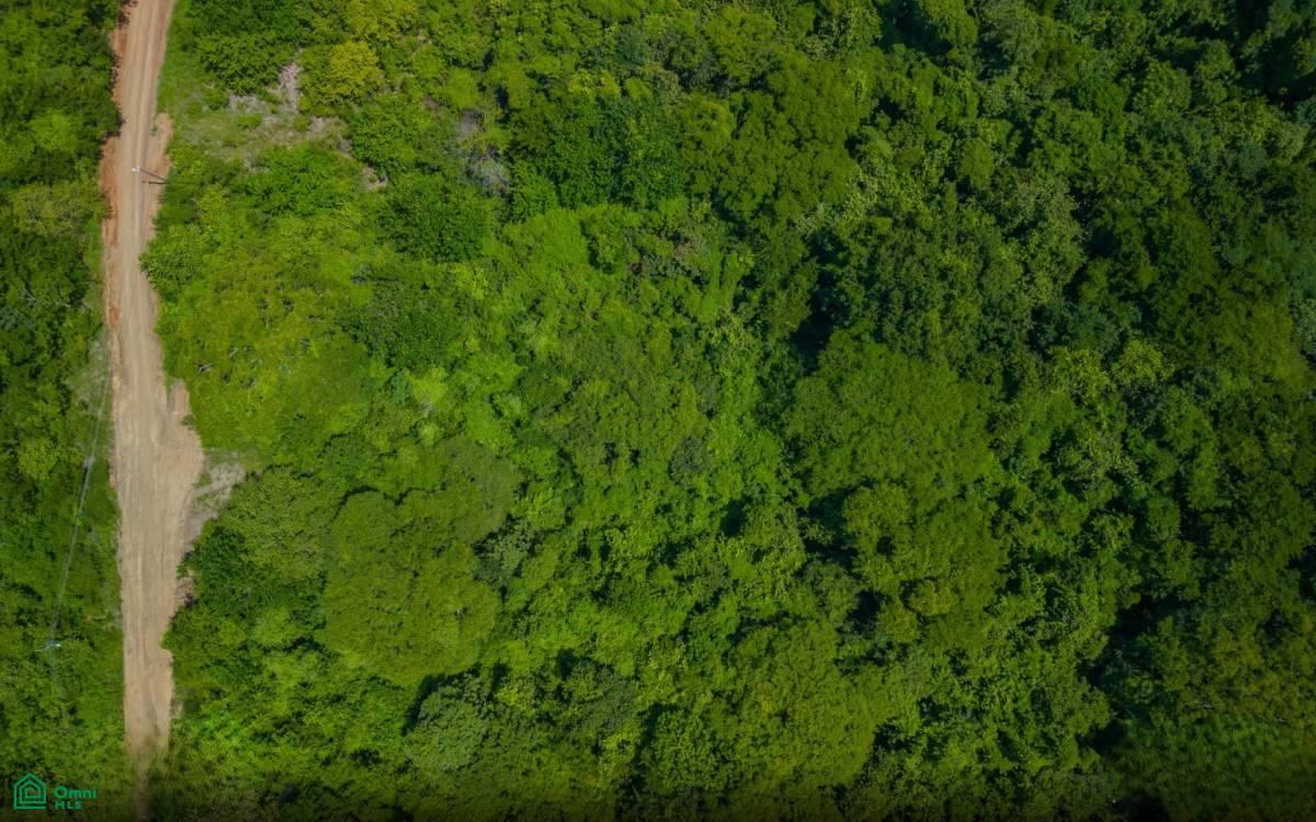 0 bed Land For Sale in Santa Cruz, Guanacaste - 1