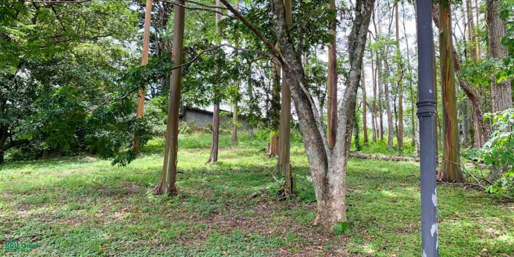 0 bed Land For Sale in Escazu, San Jose - 1