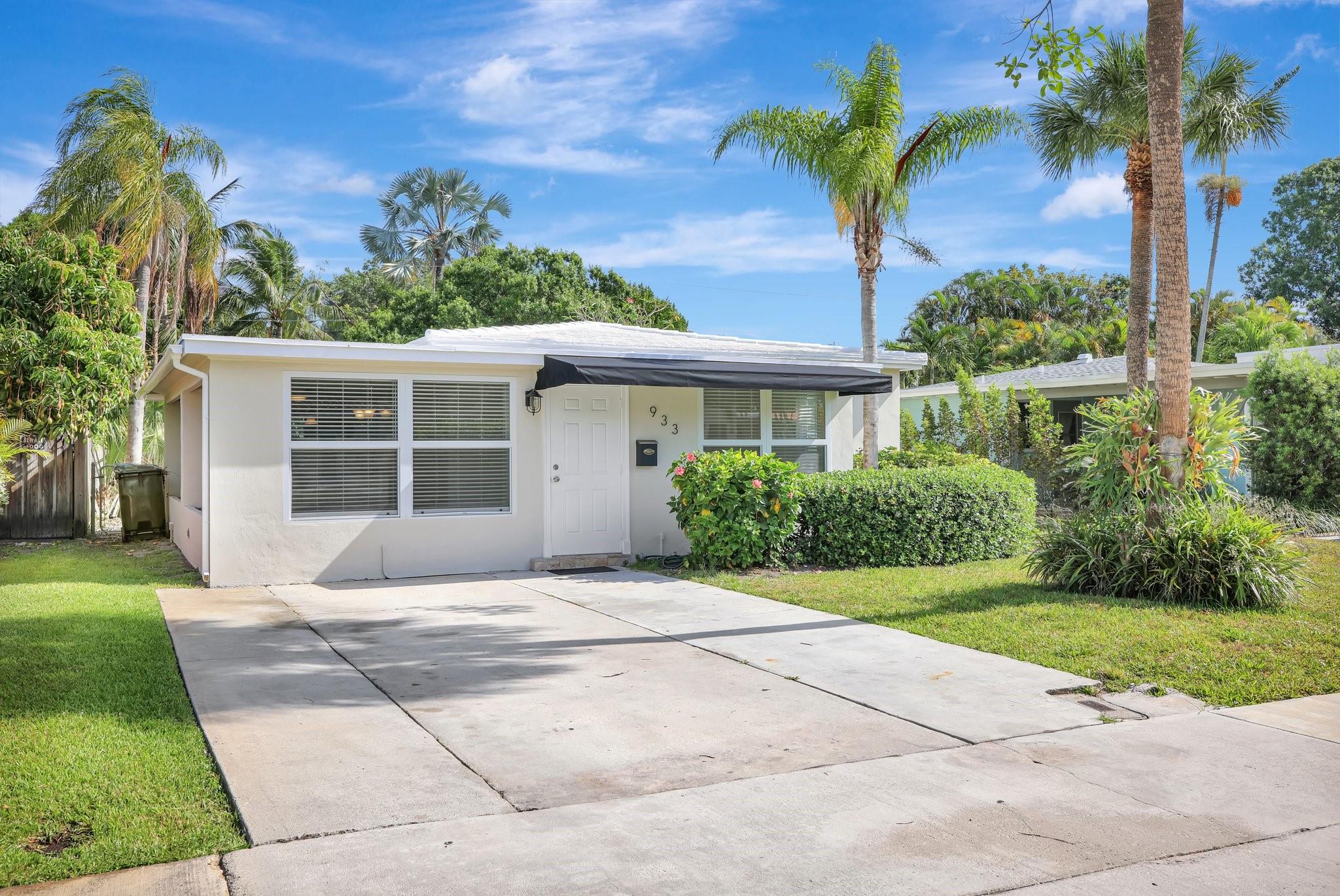 Yellowstone Park Amd