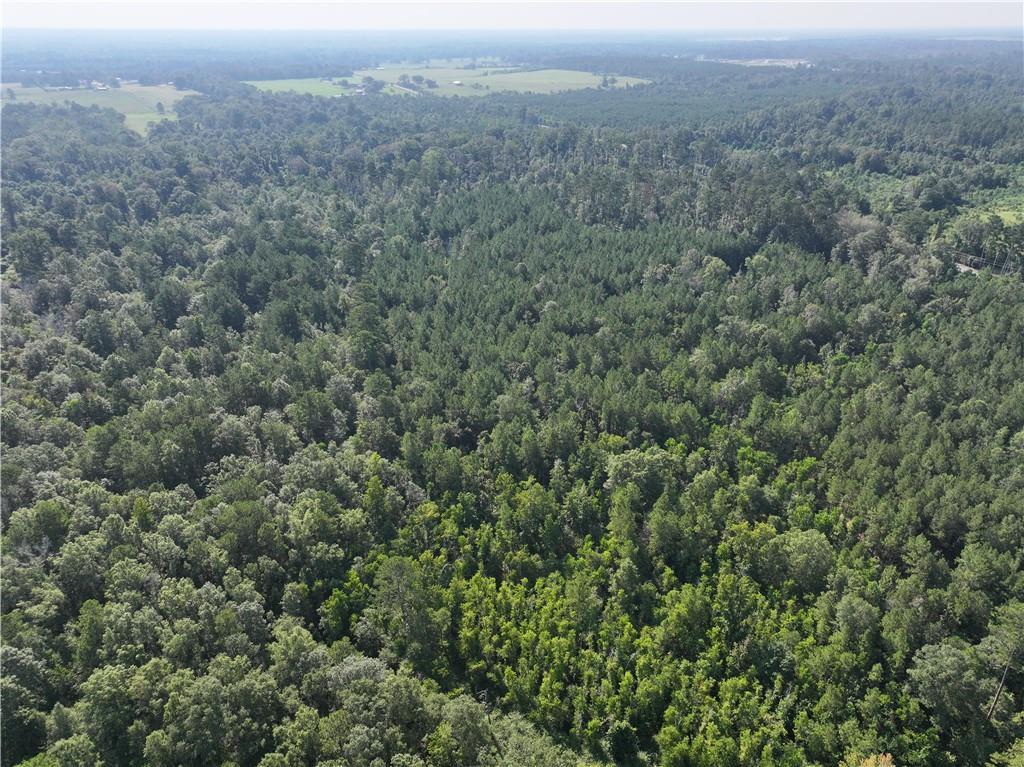 Homes for sale in Amite, LA | La 1045 Hwy, Amite, LA 70422 | MLS# 2524764