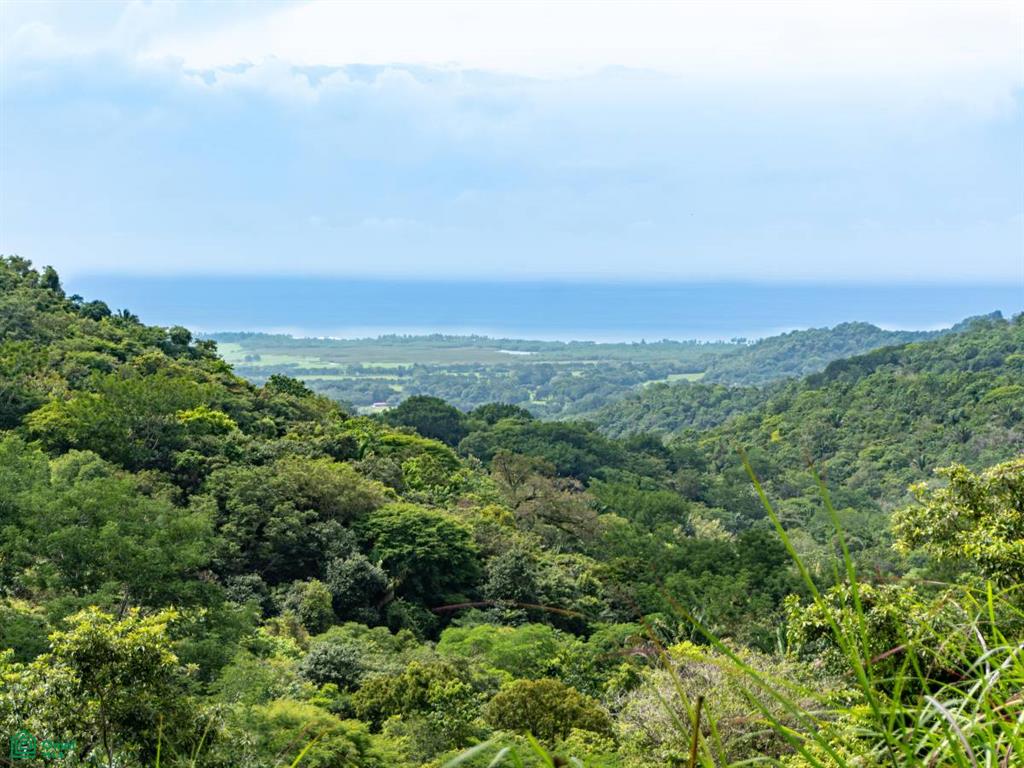 0 bed Land For Sale in Nandayure, Guanacaste - 1
