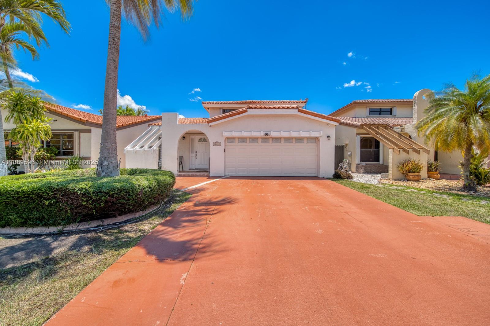 Live Oak Of The Hammocks