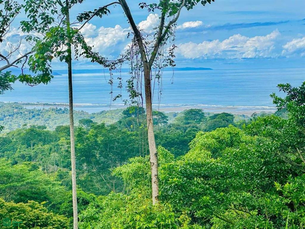 0 bed Land For Sale in Osa, Puntarenas - 1