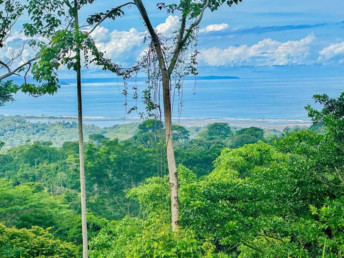 0 bed Land For Sale in Puerto Cortés, Puntarenas - 1