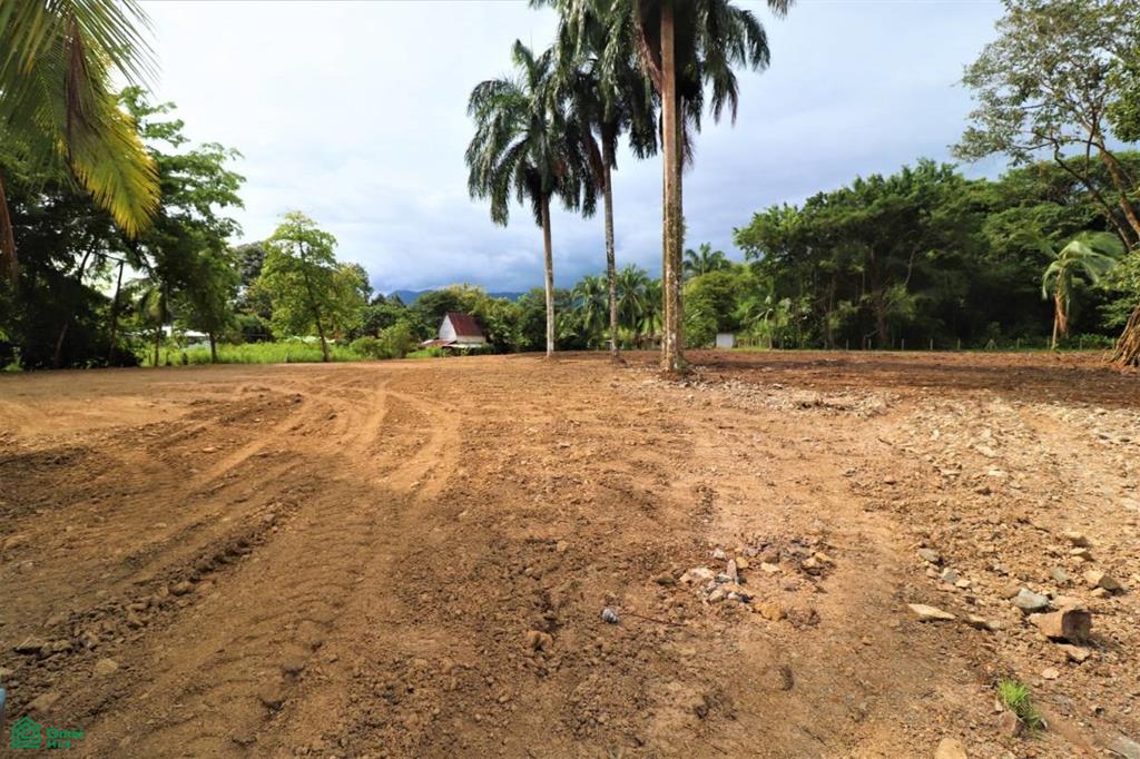 0 bed Land For Sale in Osa, Puntarenas - 1