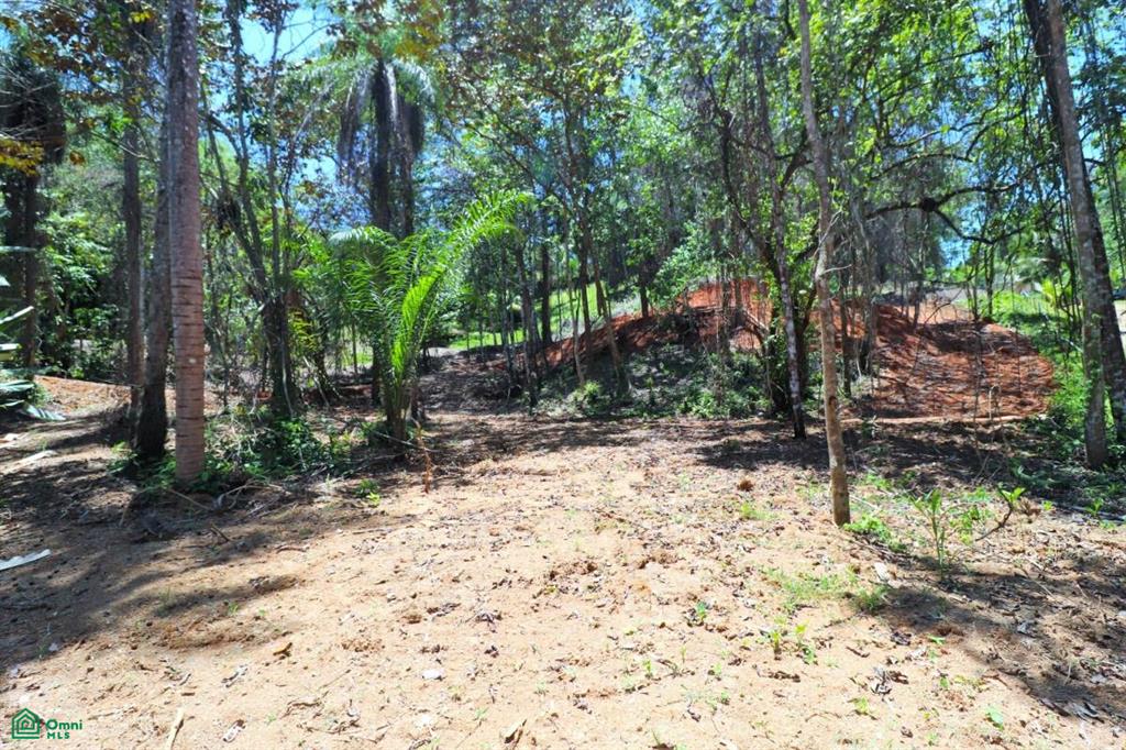 0 bed Land For Sale in Osa, Puntarenas - 1