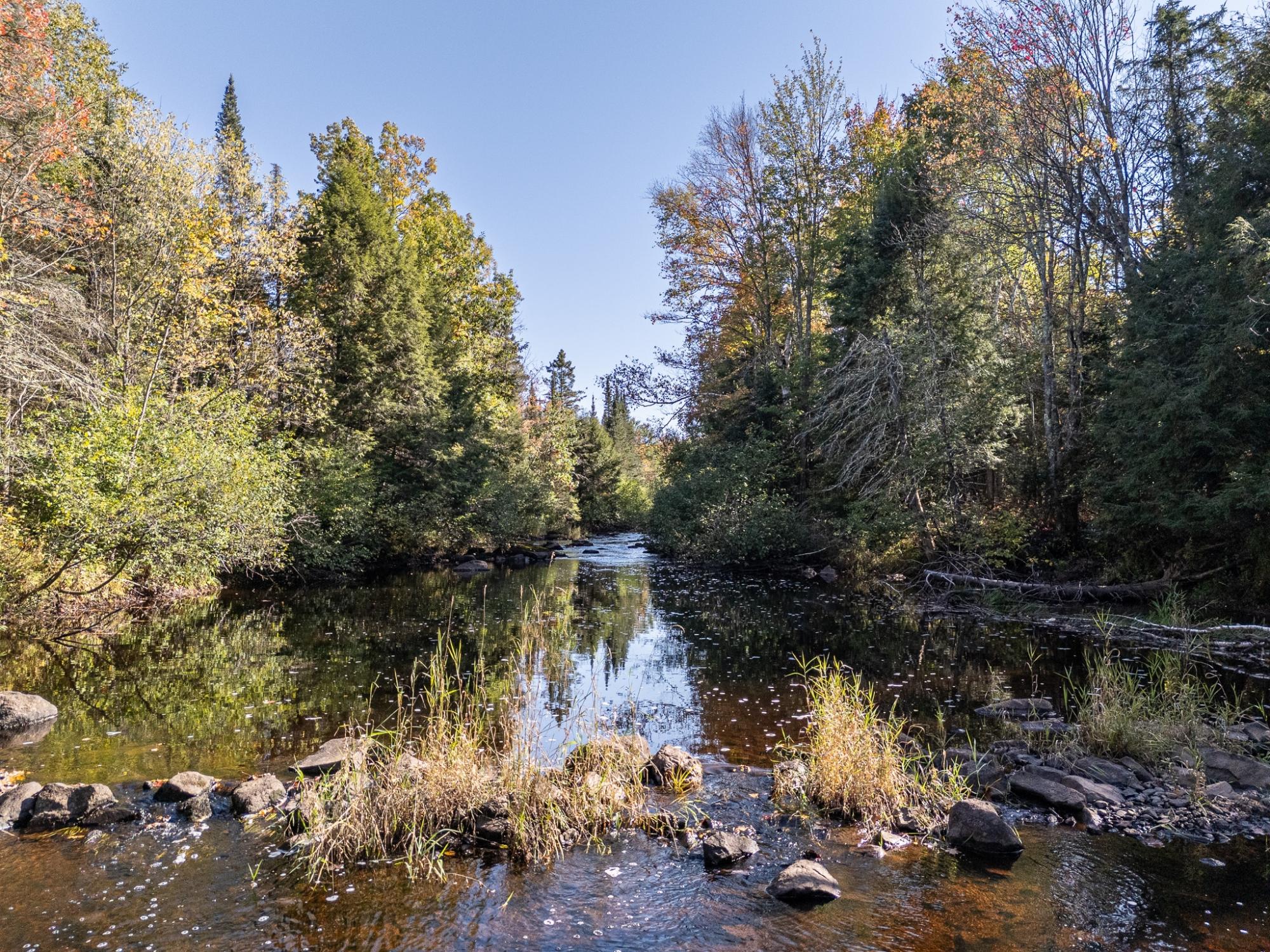Undocumented Lake Property 12248 Dupont Rd Photo 18
