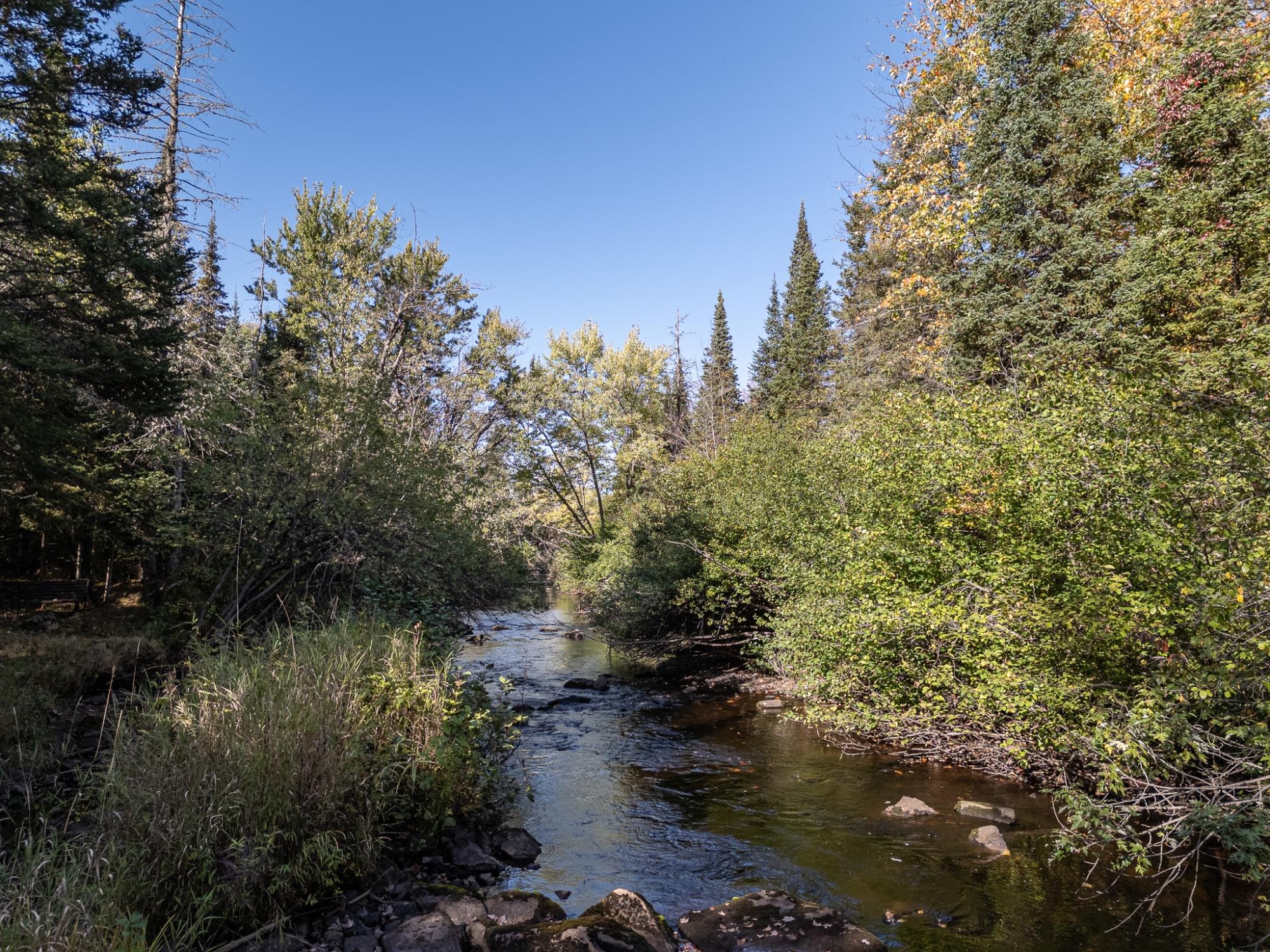 Undocumented Lake Property 12248 Dupont Rd Photo 20