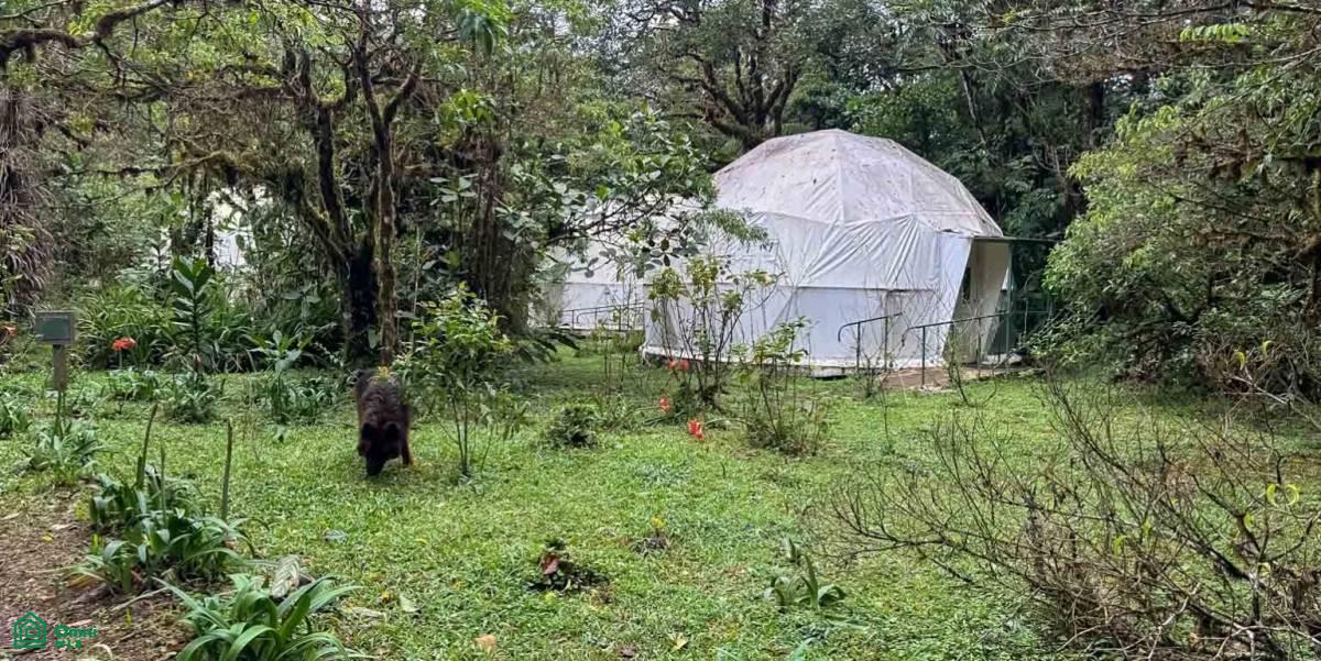 0 bed Commercial For Sale in San Ramon, Alajuela - 1