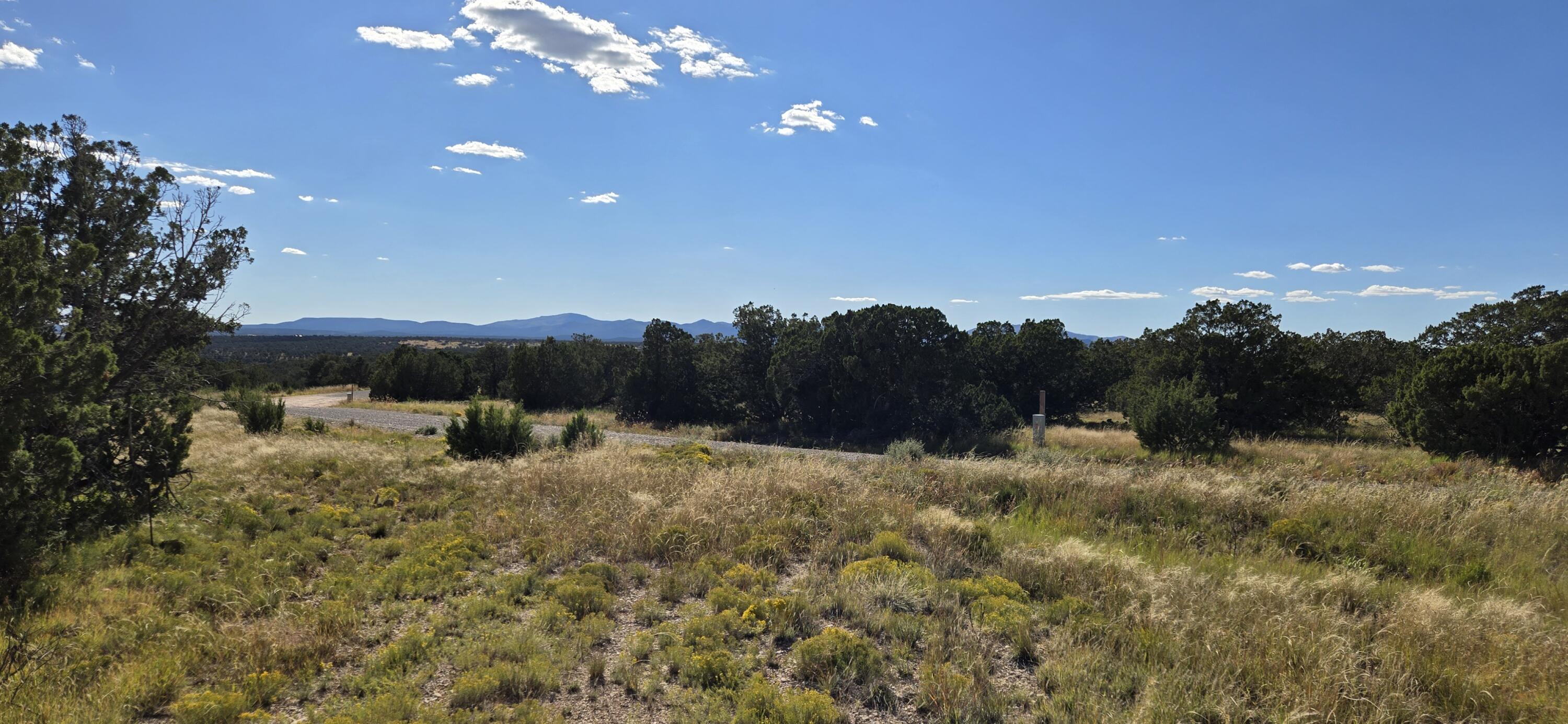 Homes for sale in Corona, NM | Lot 15 Swayback Trail, Corona, NM 88318 | MLS# 1092401