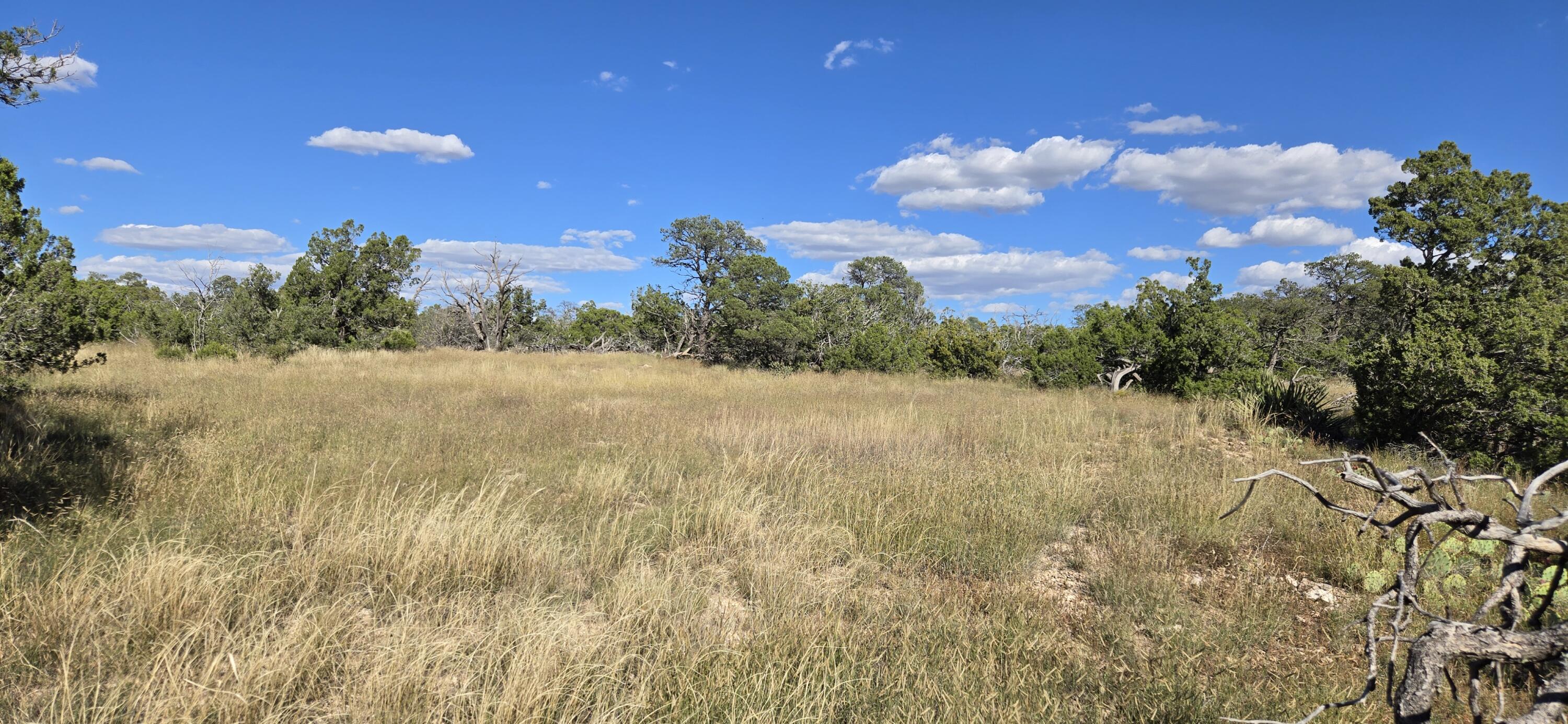 Homes for sale in Corona, NM | Lot 15 Swayback Trail, Corona, NM 88318 | MLS# 1092401