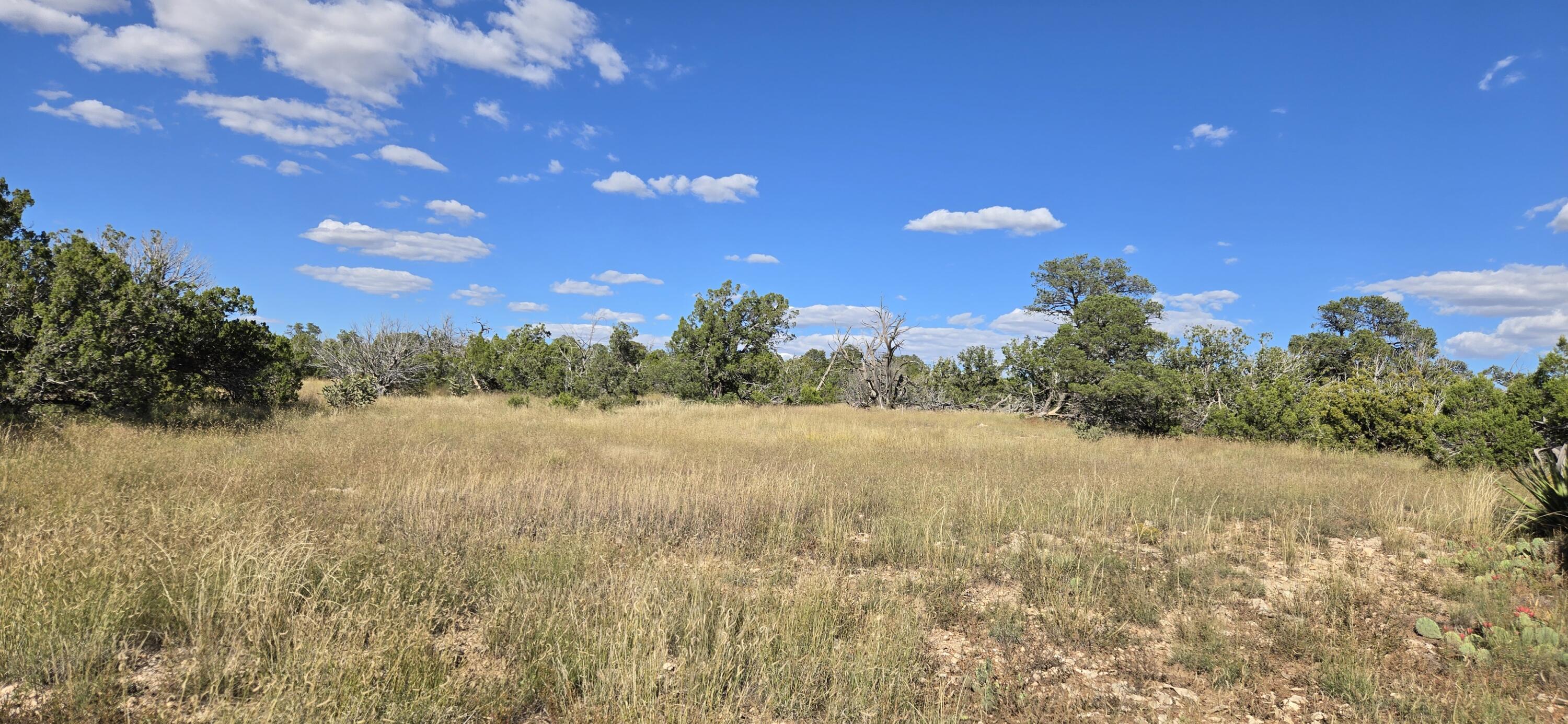 Homes for sale in Corona, NM | Lot 15 Swayback Trail, Corona, NM 88318 | MLS# 1092401