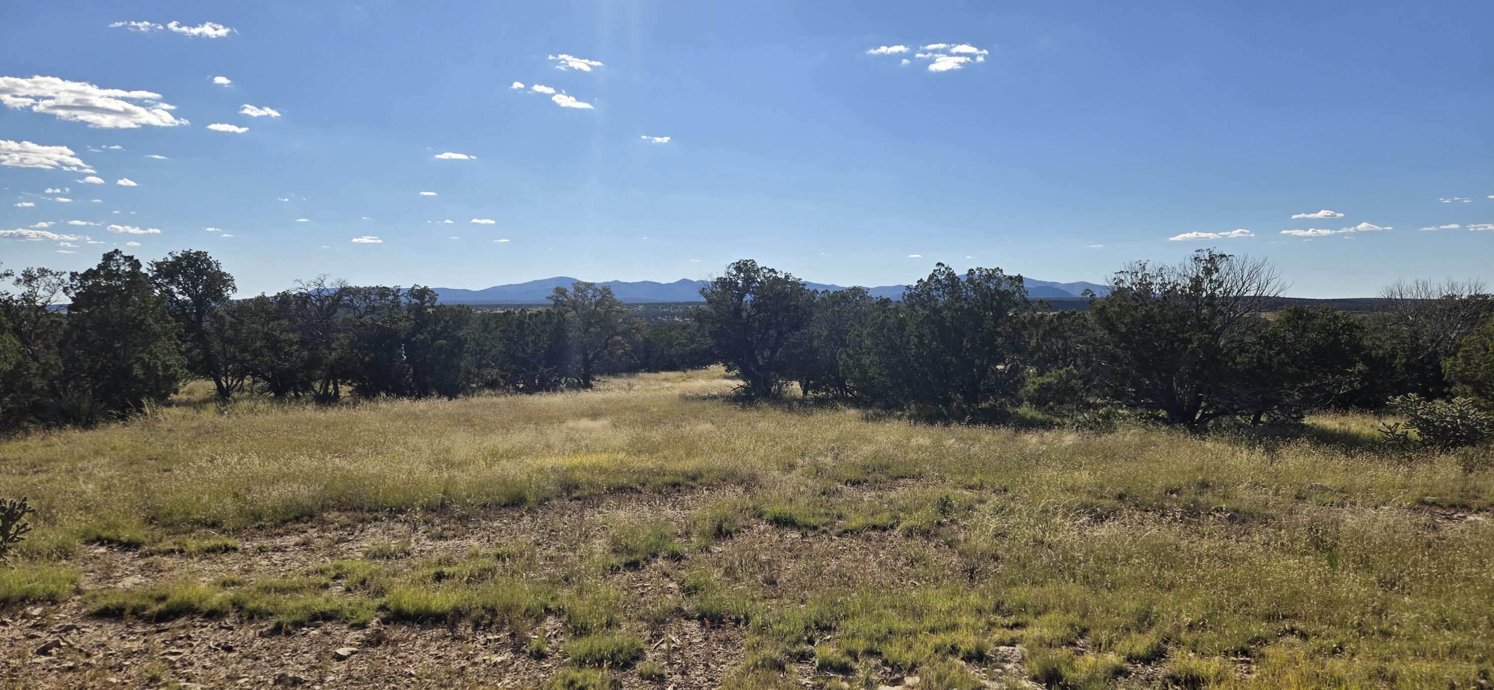 Homes for sale in Corona, NM | Lot 15 Swayback Trail, Corona, NM 88318 | MLS# 1092401