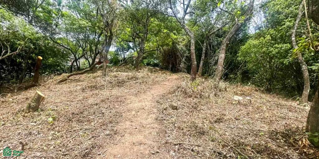0 bed Land For Sale in Mora, San Jose - 1
