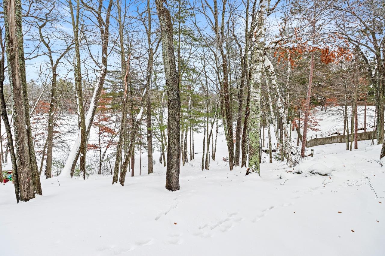 Bass Lake(R) Property 4014 Sandy Bluff Rd Photo 49