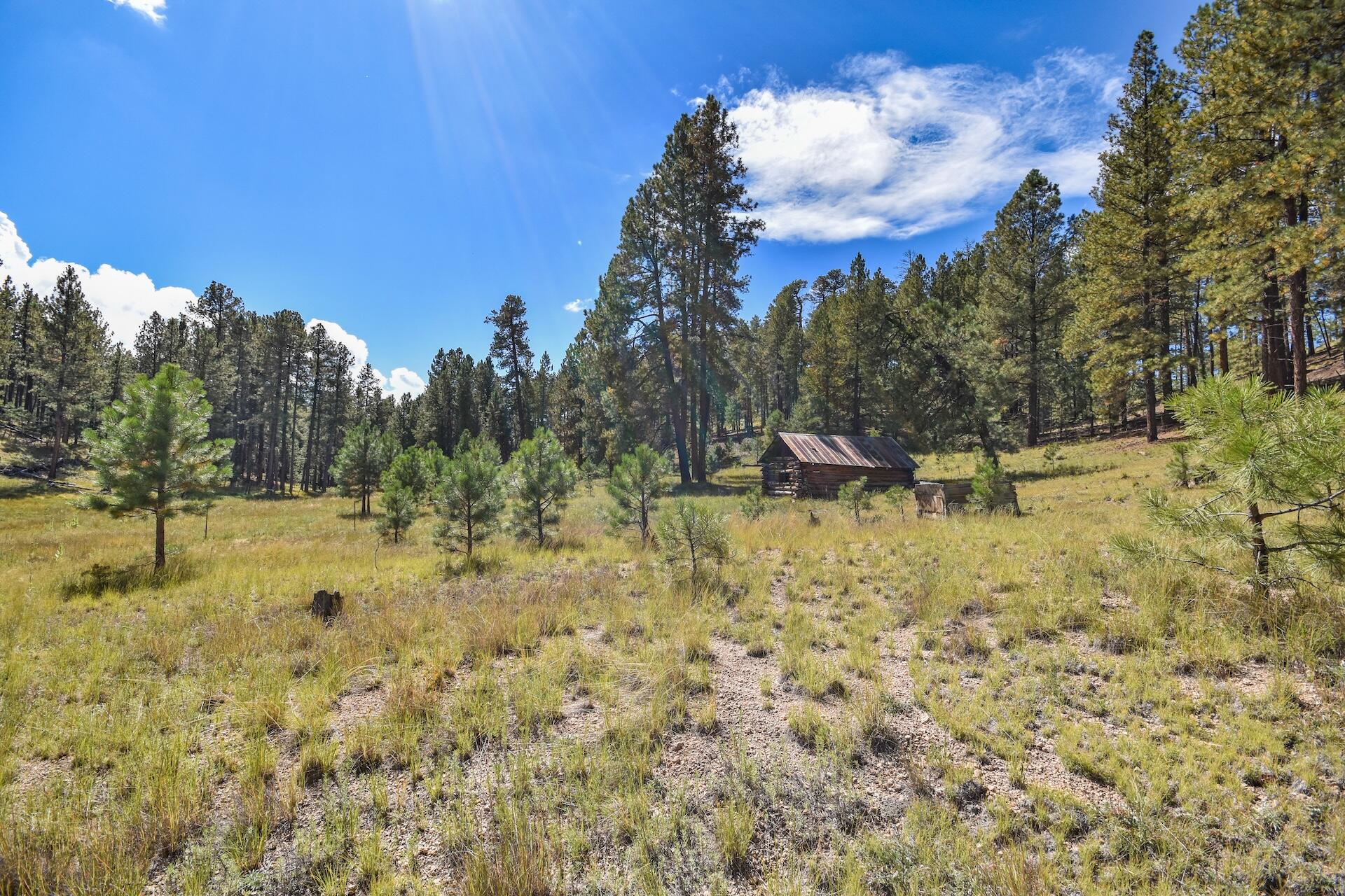 Homes for sale in Jemez Springs, NM | 275 Acres Jemez Mountain Forest Rd 10, Jemez Springs, NM 87025 | MLS# 1092457