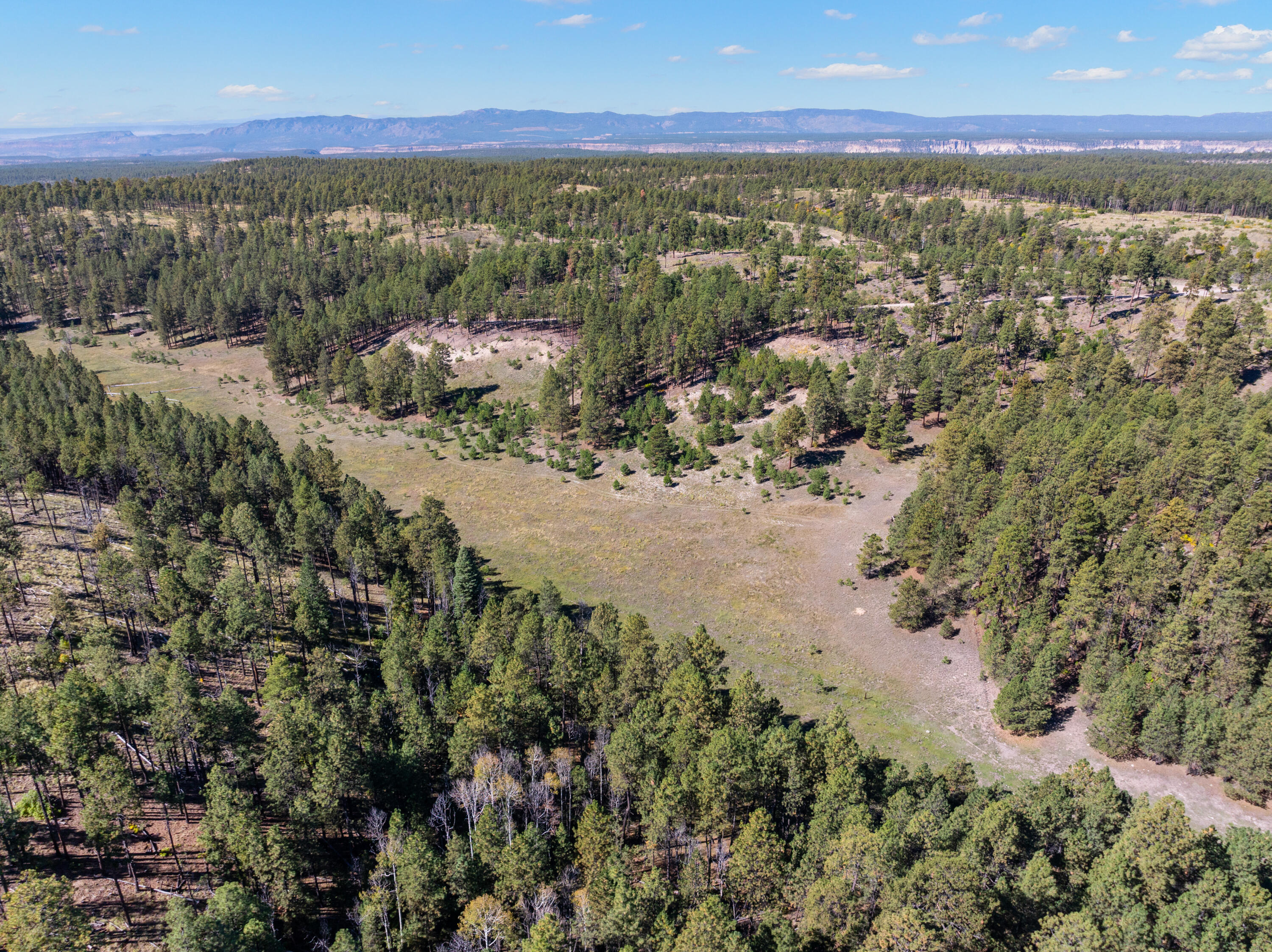 Homes for sale in Jemez Springs, NM | 275 Acres Jemez Mountain Forest Rd 10, Jemez Springs, NM 87025 | MLS# 1092457