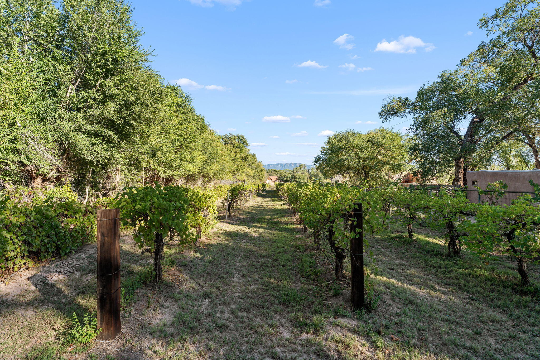 Homes for sale in Corrales, NM | 3819-3821 Corrales Rd, Corrales, NM 87048 | MLS# 1092470