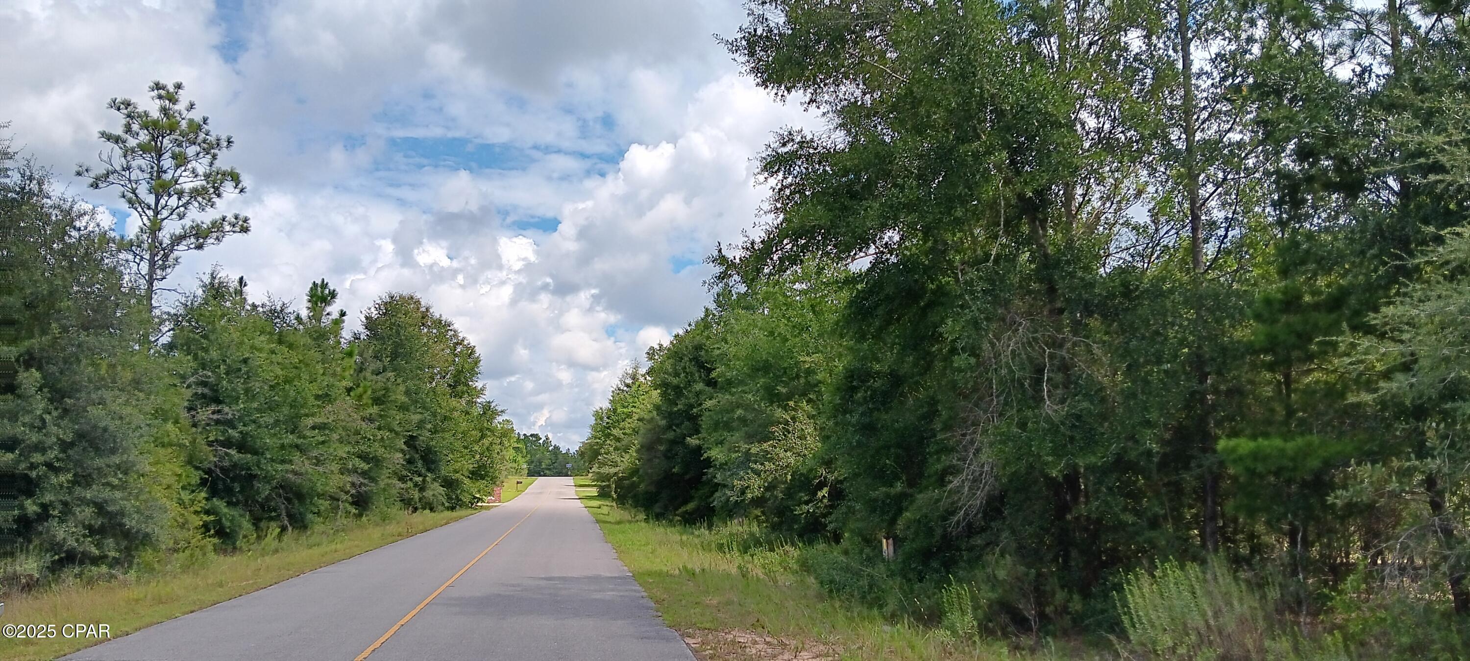 Image 5 For 007 Amy Lane