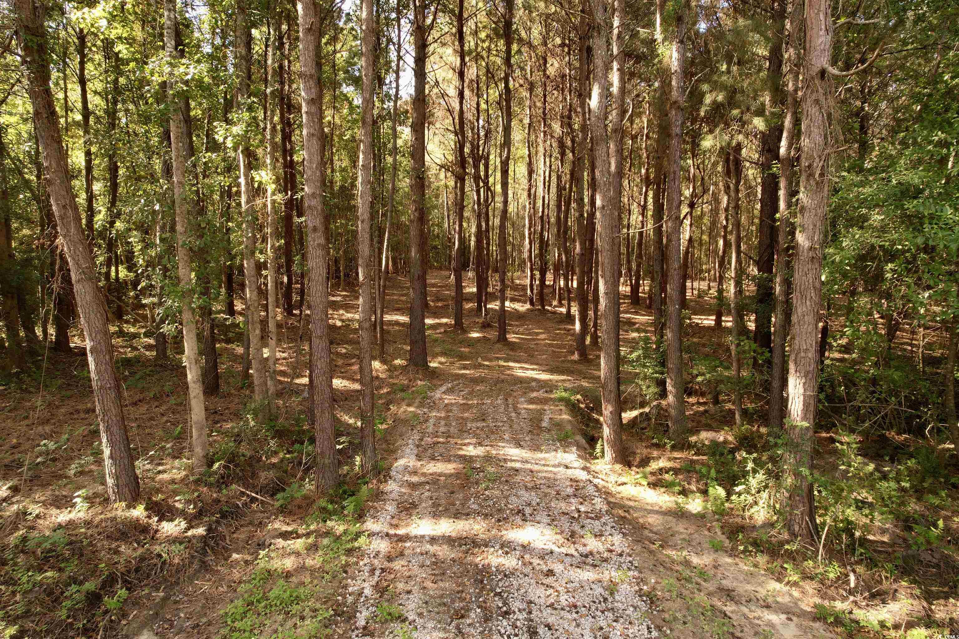 2524288 | Photo 10