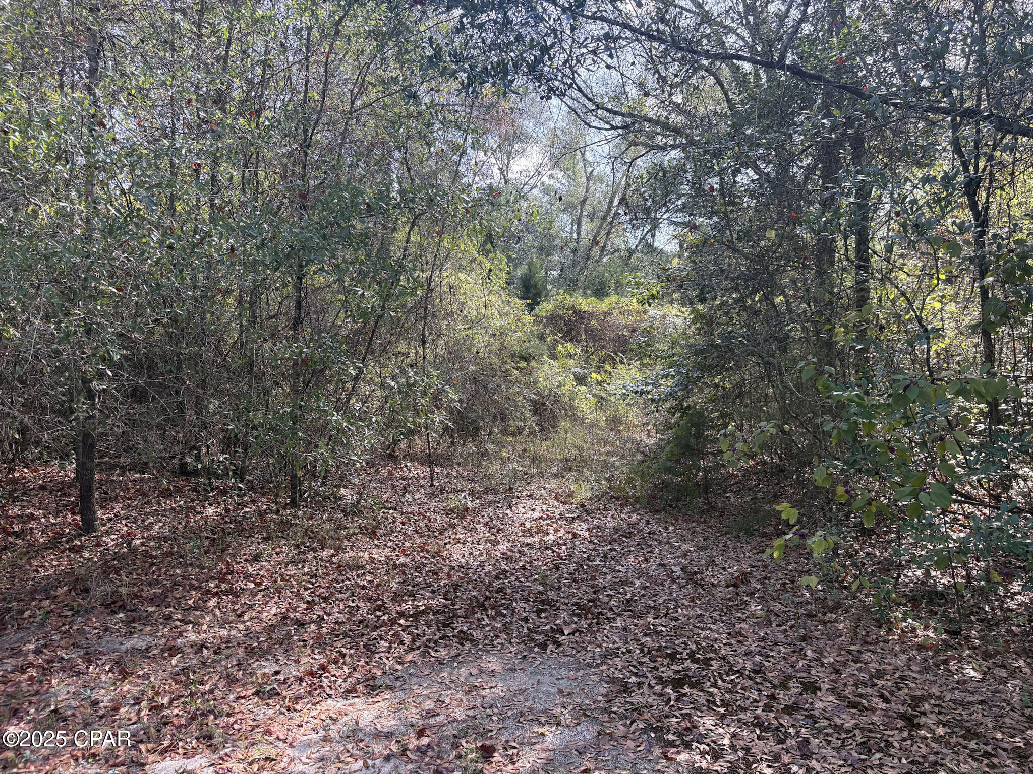 Image 11 For 0000 Amtrex  