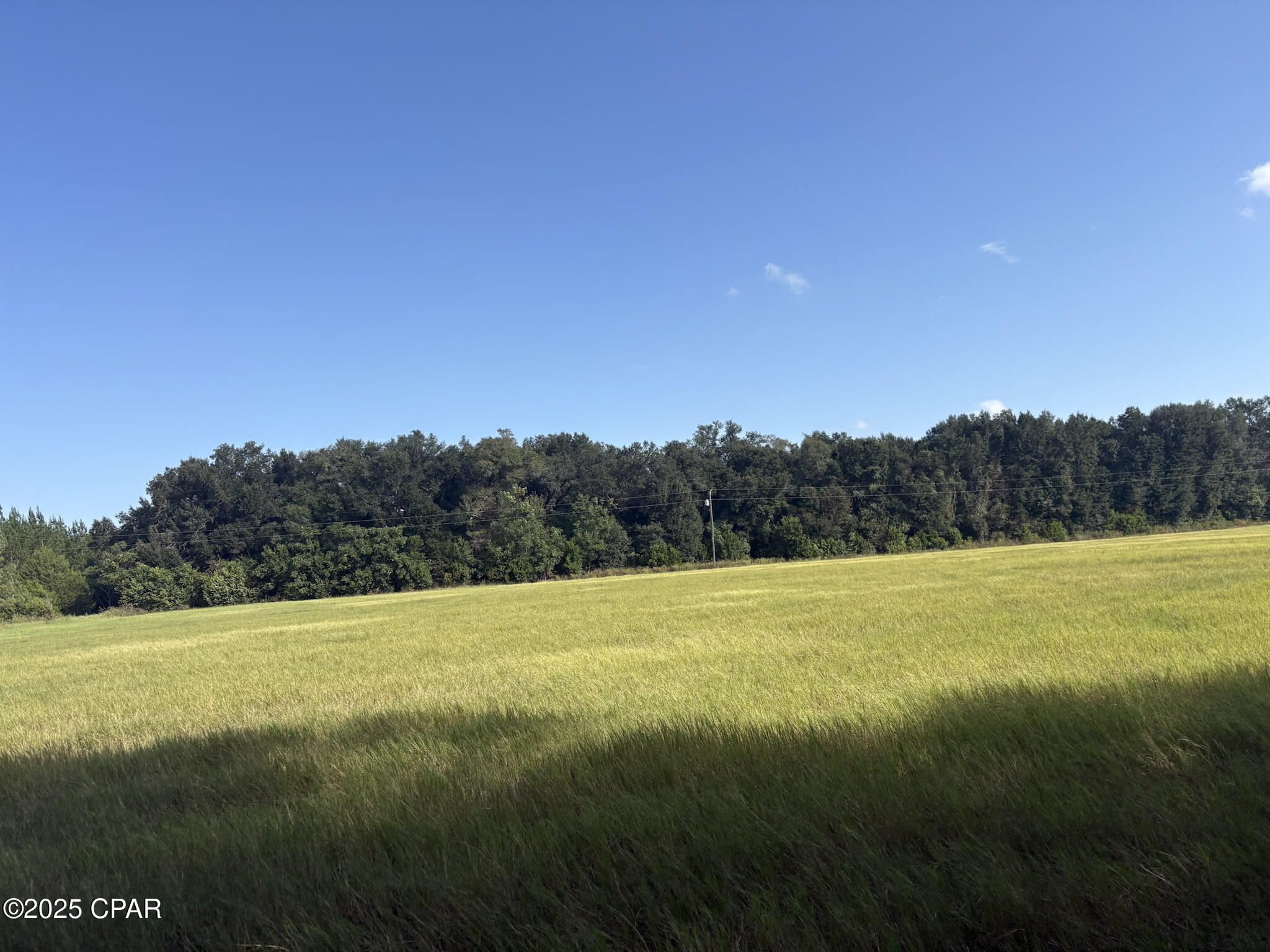 Image 5 For 0000 Amtrex  