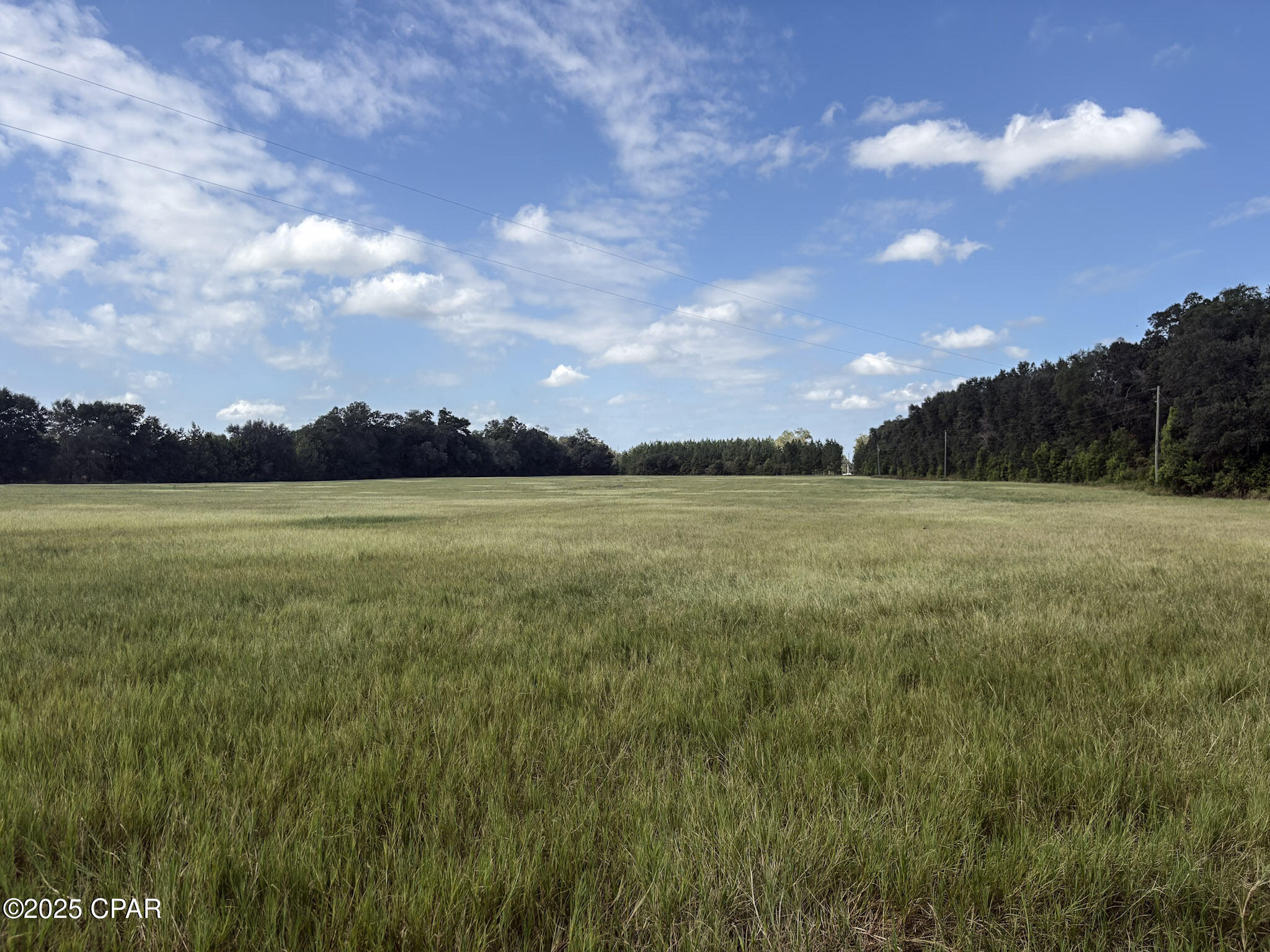 Image 9 For 0000 Amtrex  