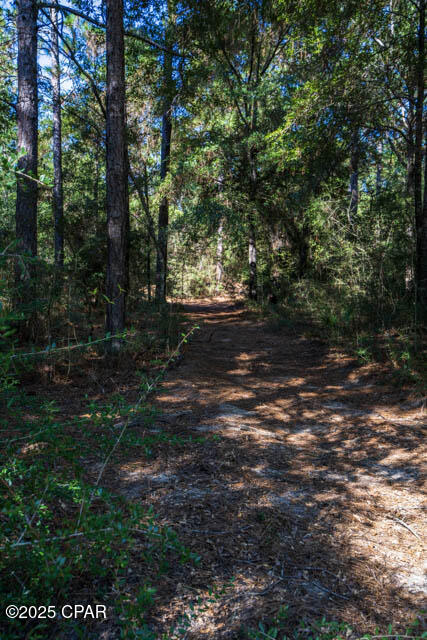 Image 17 For 4507 Rainbird Rise Road