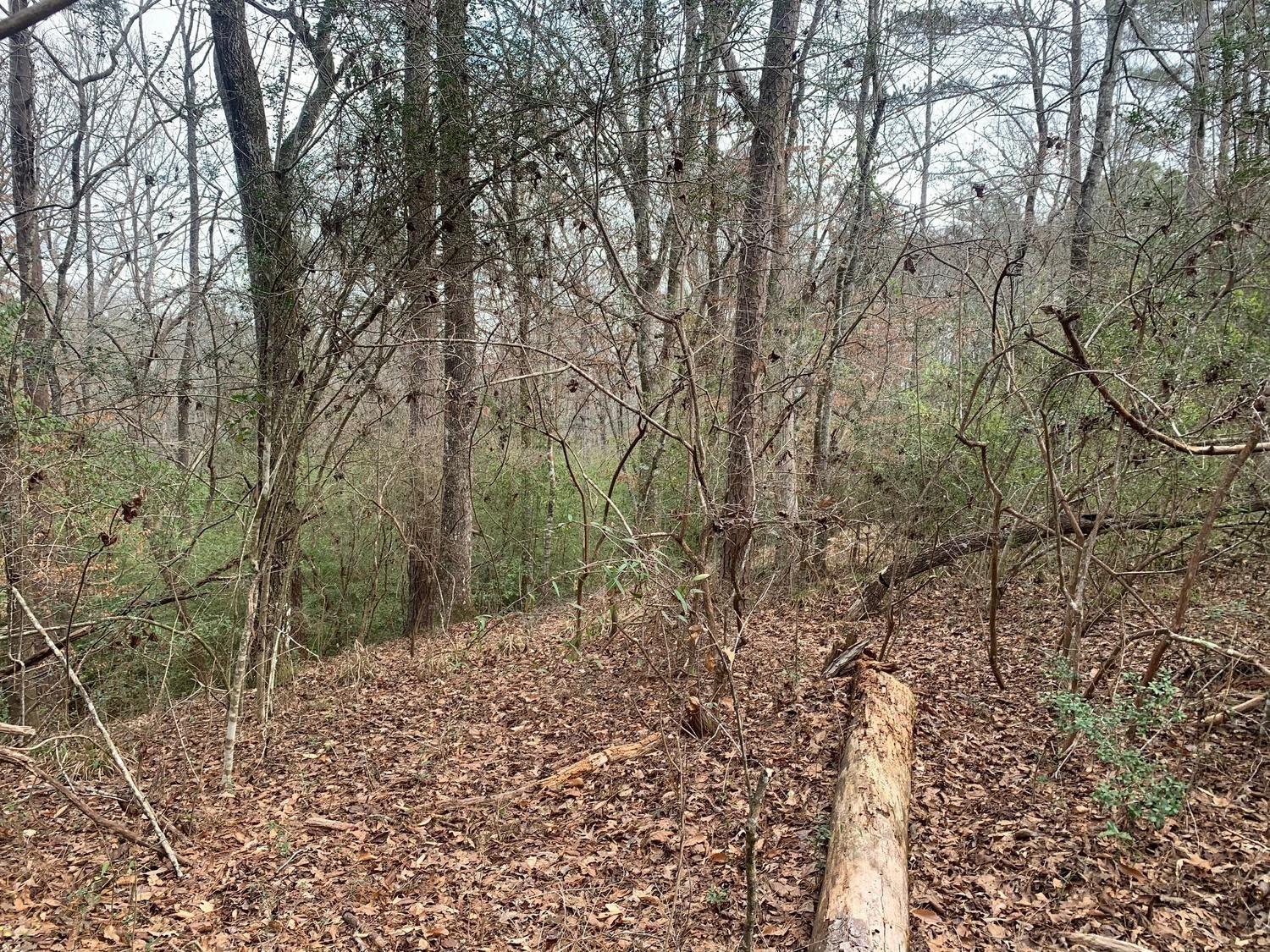 Homes for sale in Westville, FL | 0 Griffin Circle, Westville, FL 32464 | MLS# F10530318