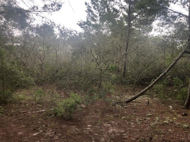 Homes for sale in Lake Wales, FL | 0 Alturas Babson Park Cutoff Rd, Lake Wales, FL 33859 | MLS# F10530325