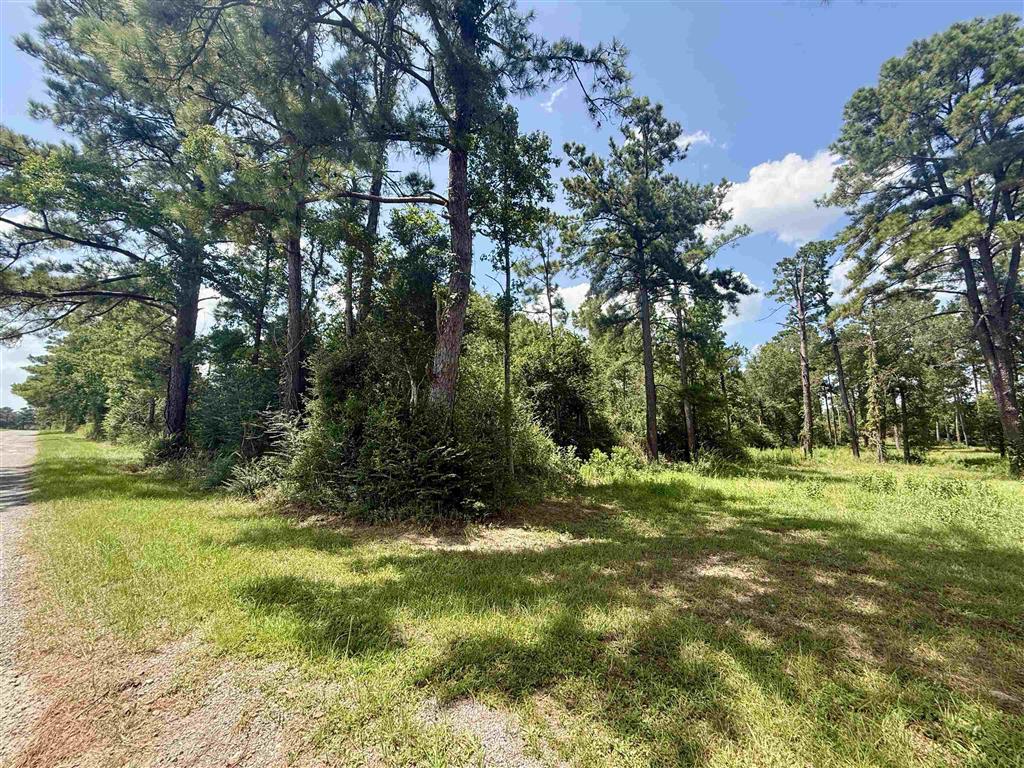 0 Bob Hayes Road — photo 2