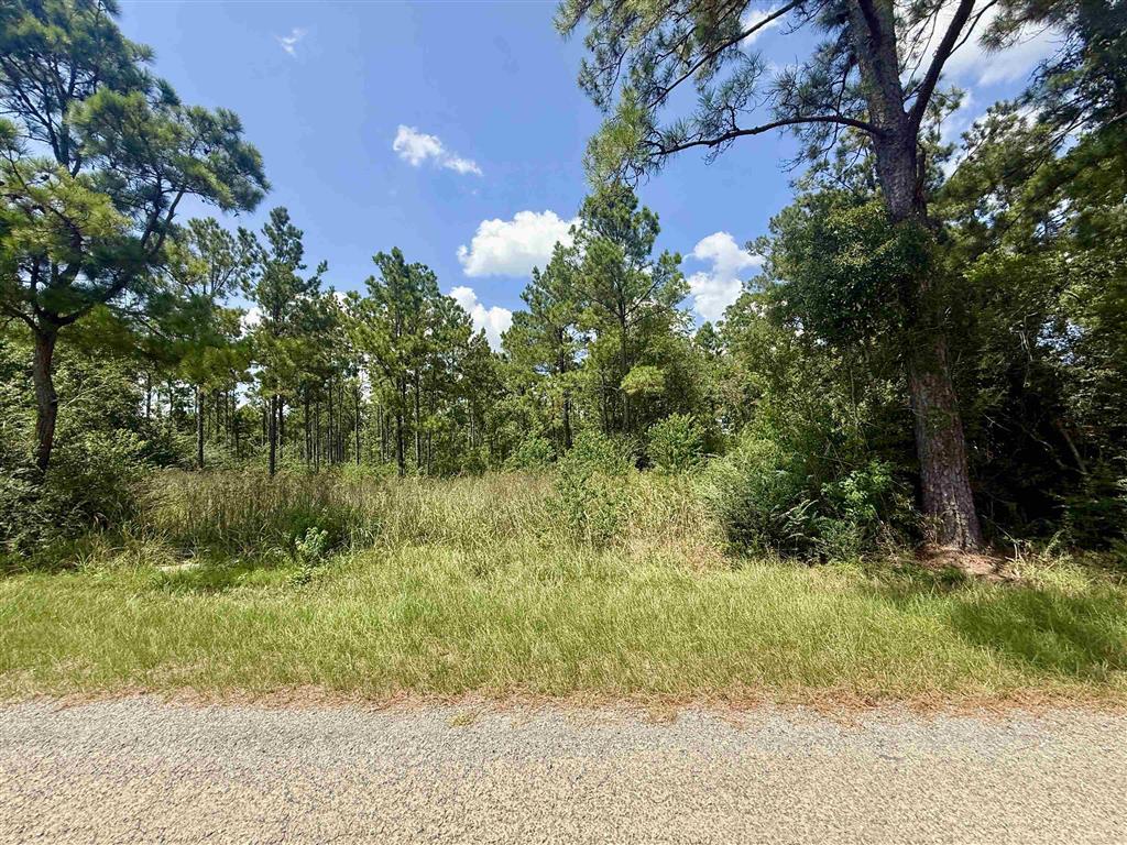 0 Bob Hayes Road — photo 3