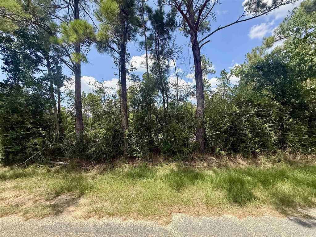0 Bob Hayes Road — photo 5