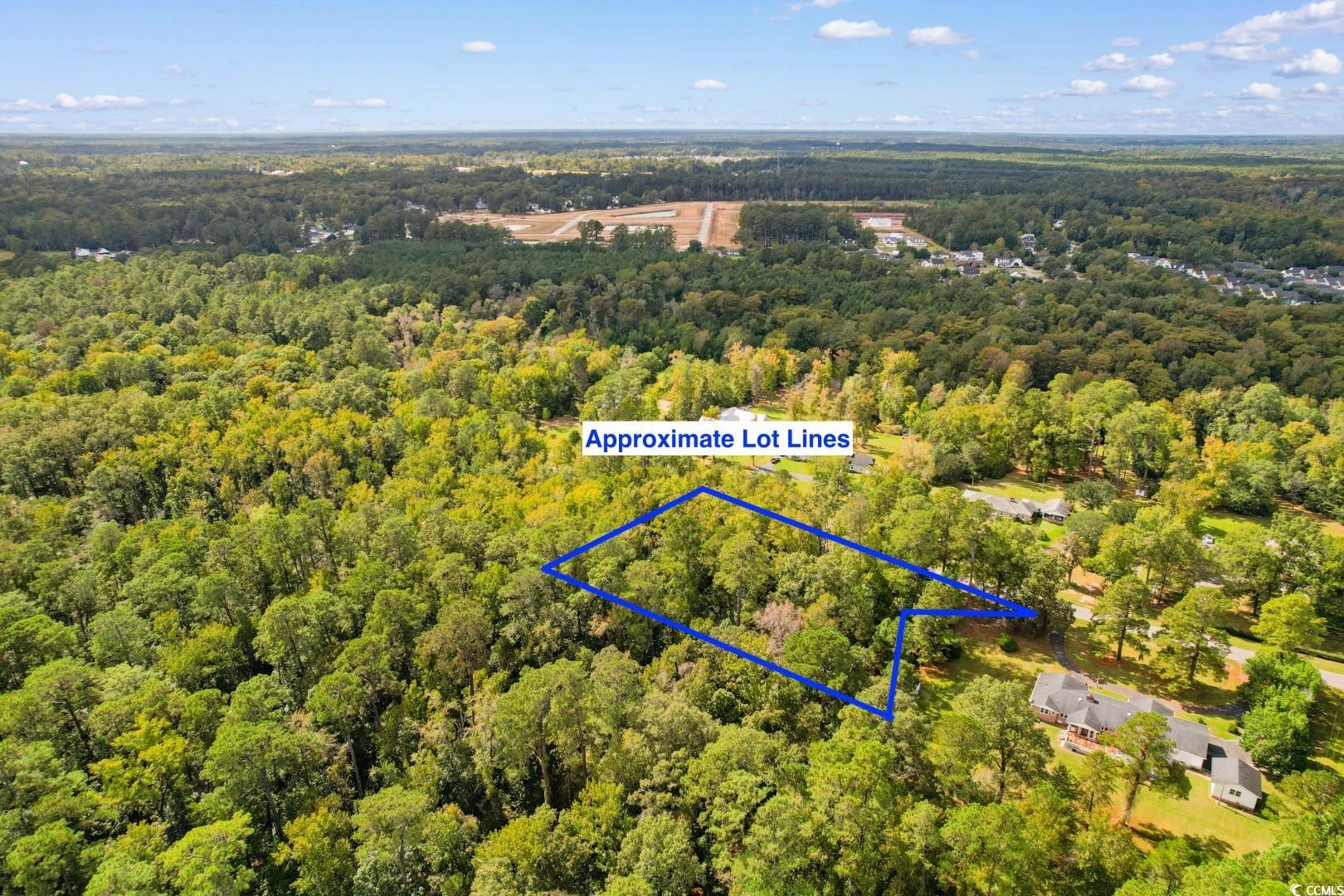 TBD Long Avenue Ext. Conway, SC 29526