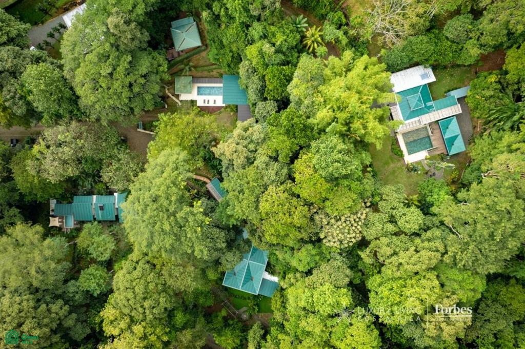 6 bed Single Family Homes For Sale in Osa, Puntarenas - 1